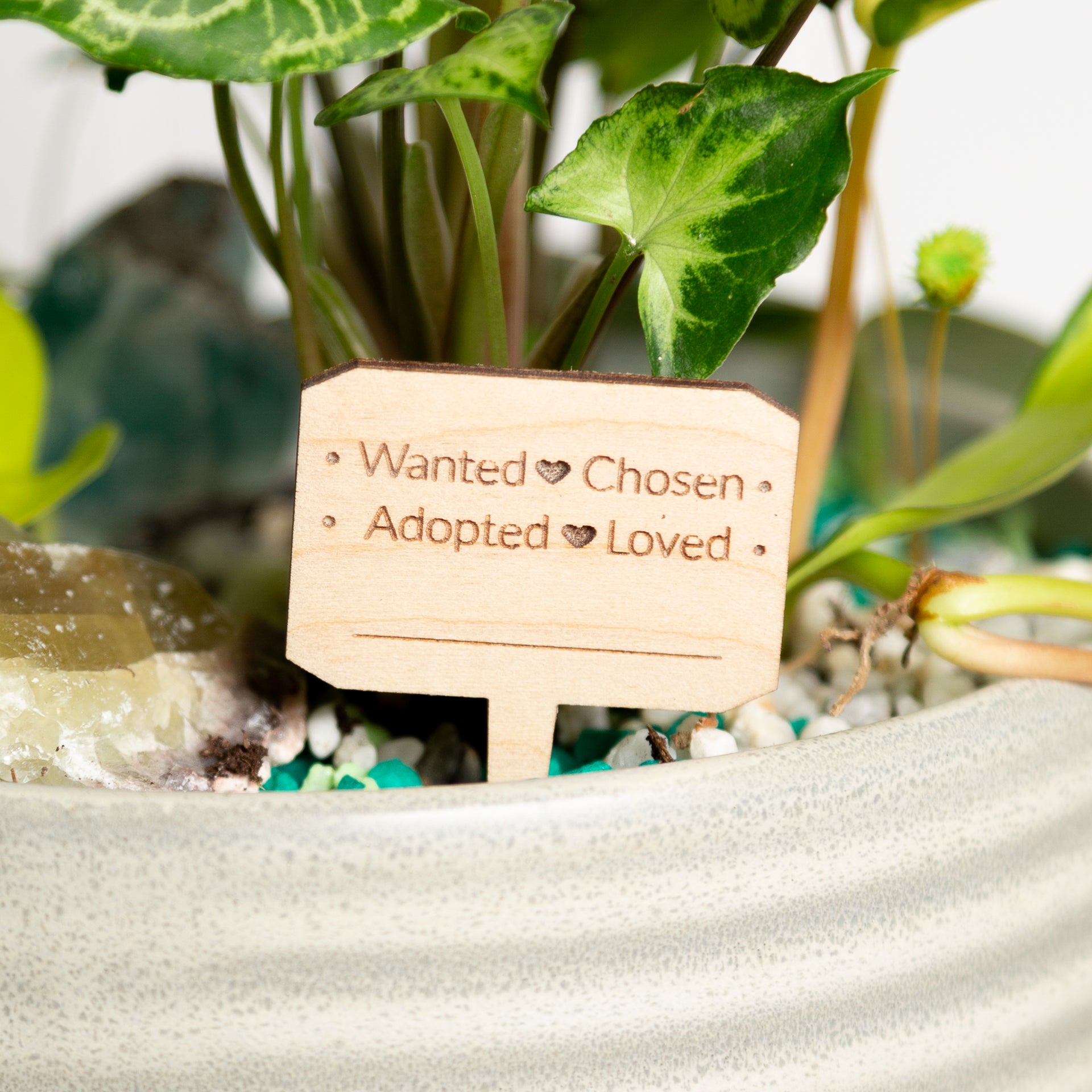 Mini Sign -Wanted Chosen Adopted Loved - Urban Sprouts