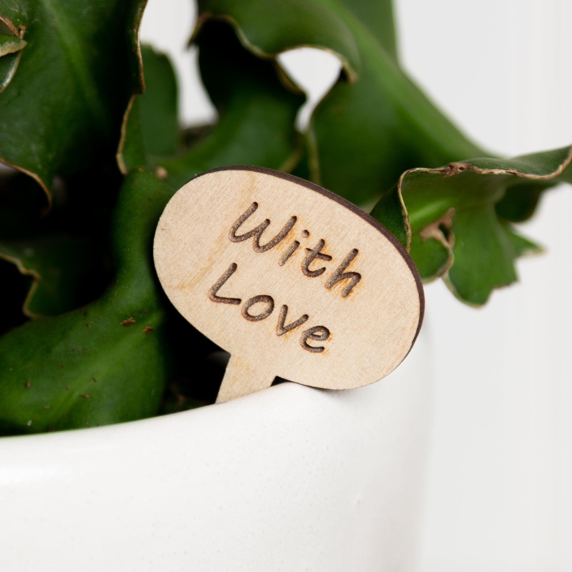 Mini Sign - With love - Urban Sprouts