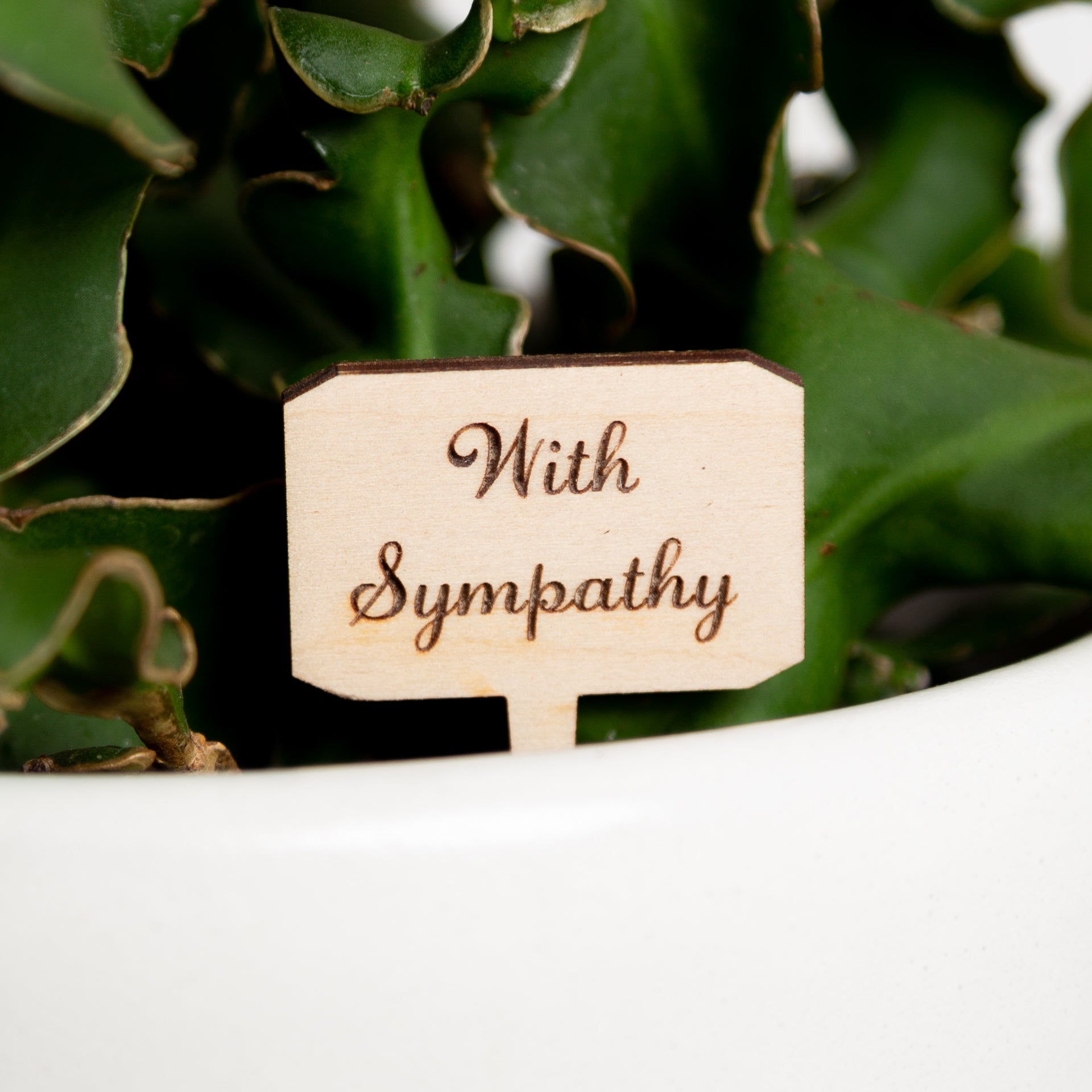 Mini Sign - With Sympathy - Urban Sprouts