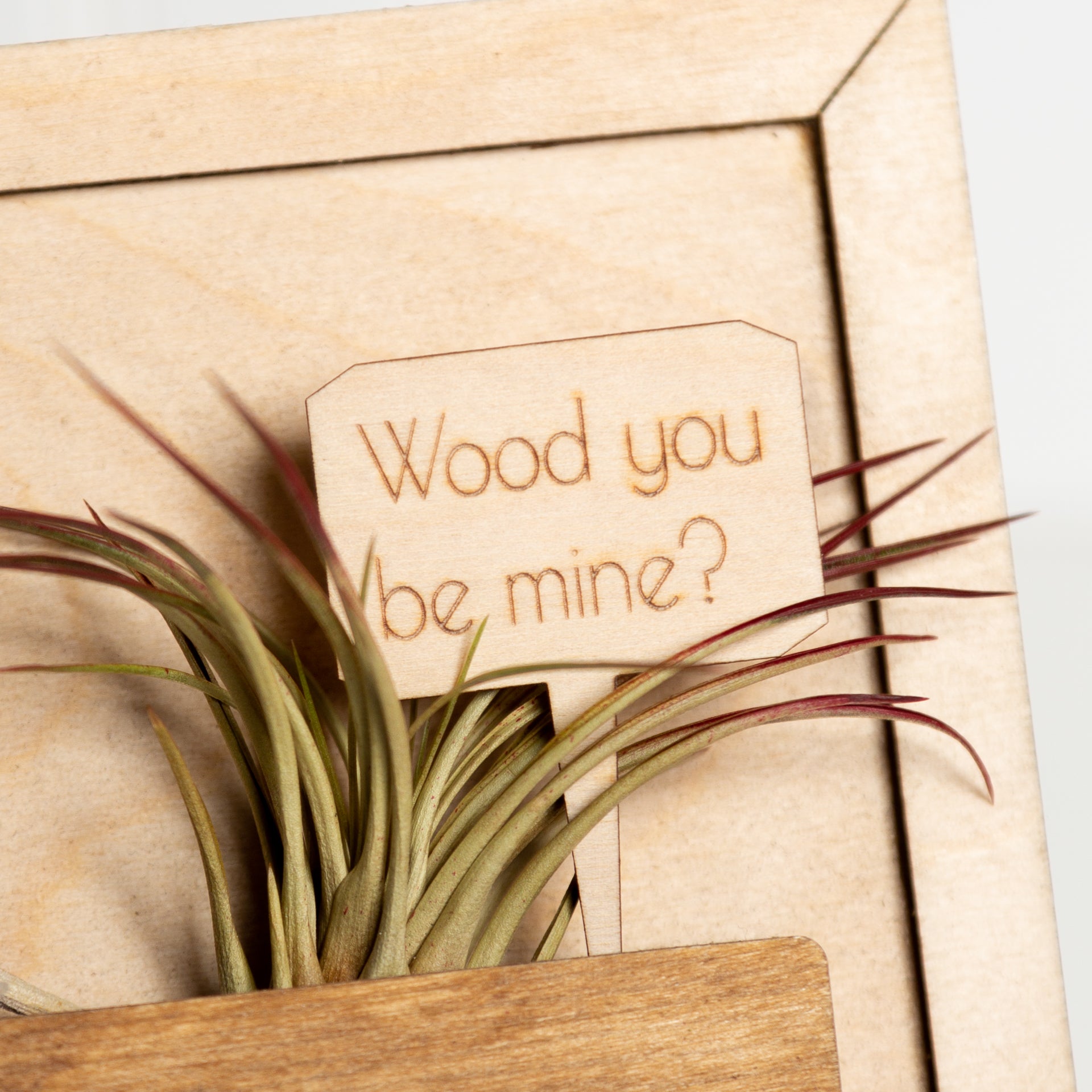 Mini Sign - Wood You be Mine - Urban Sprouts