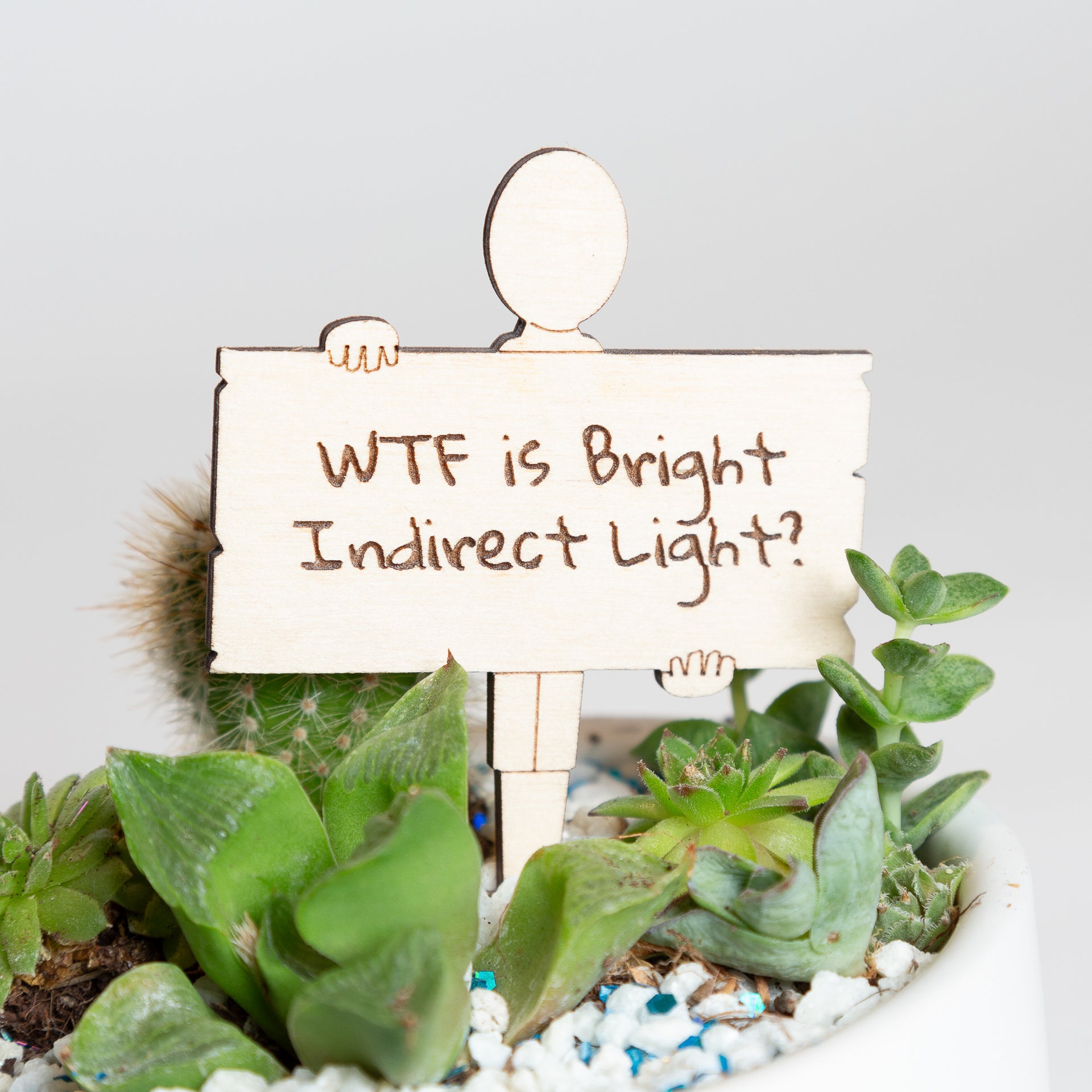 Mini Sign -Wtf is Bright Indirect Light - Urban Sprouts