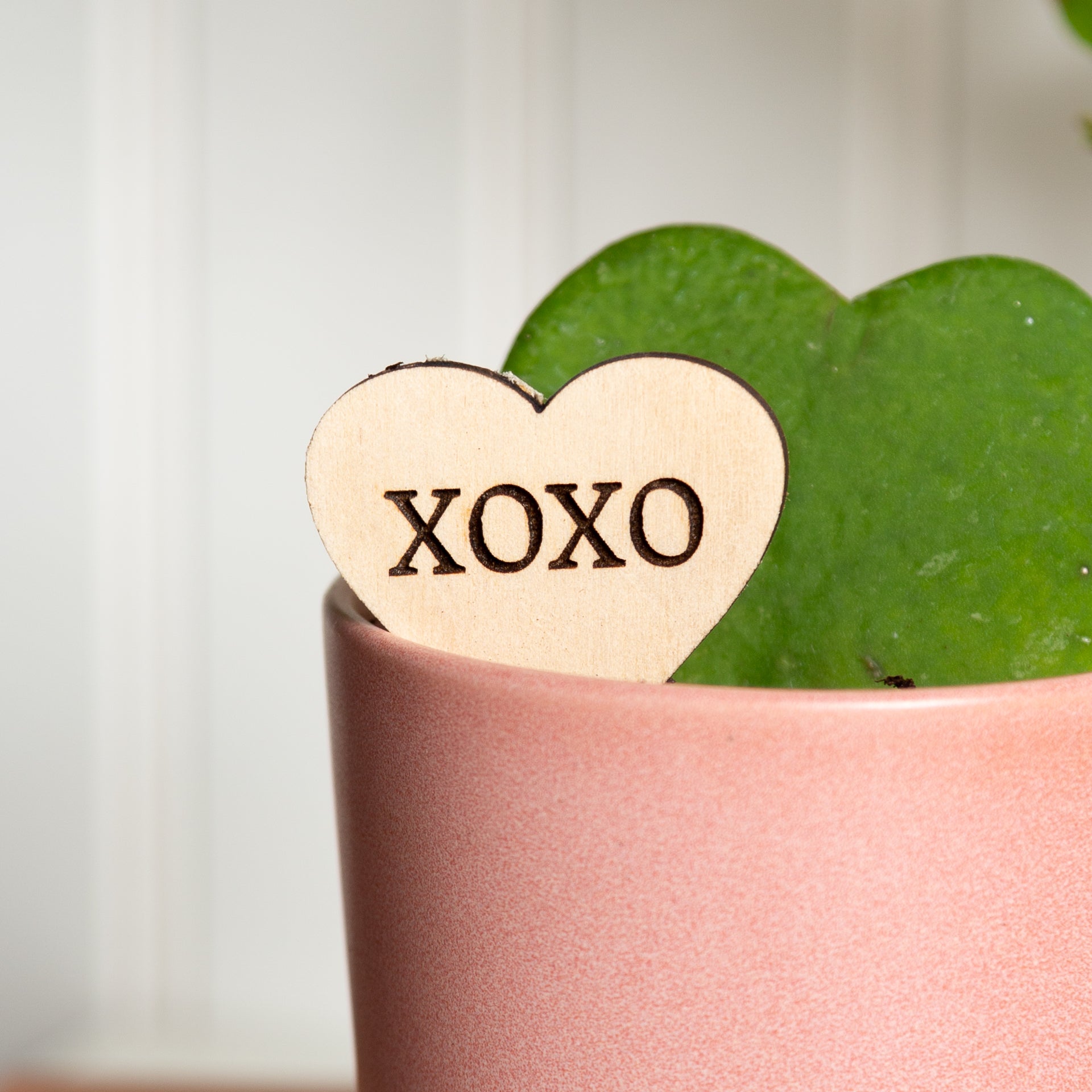 Mini Sign - XOXO - Urban Sprouts