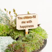Mini Sign - You chloro-fill me with happiness - Urban Sprouts