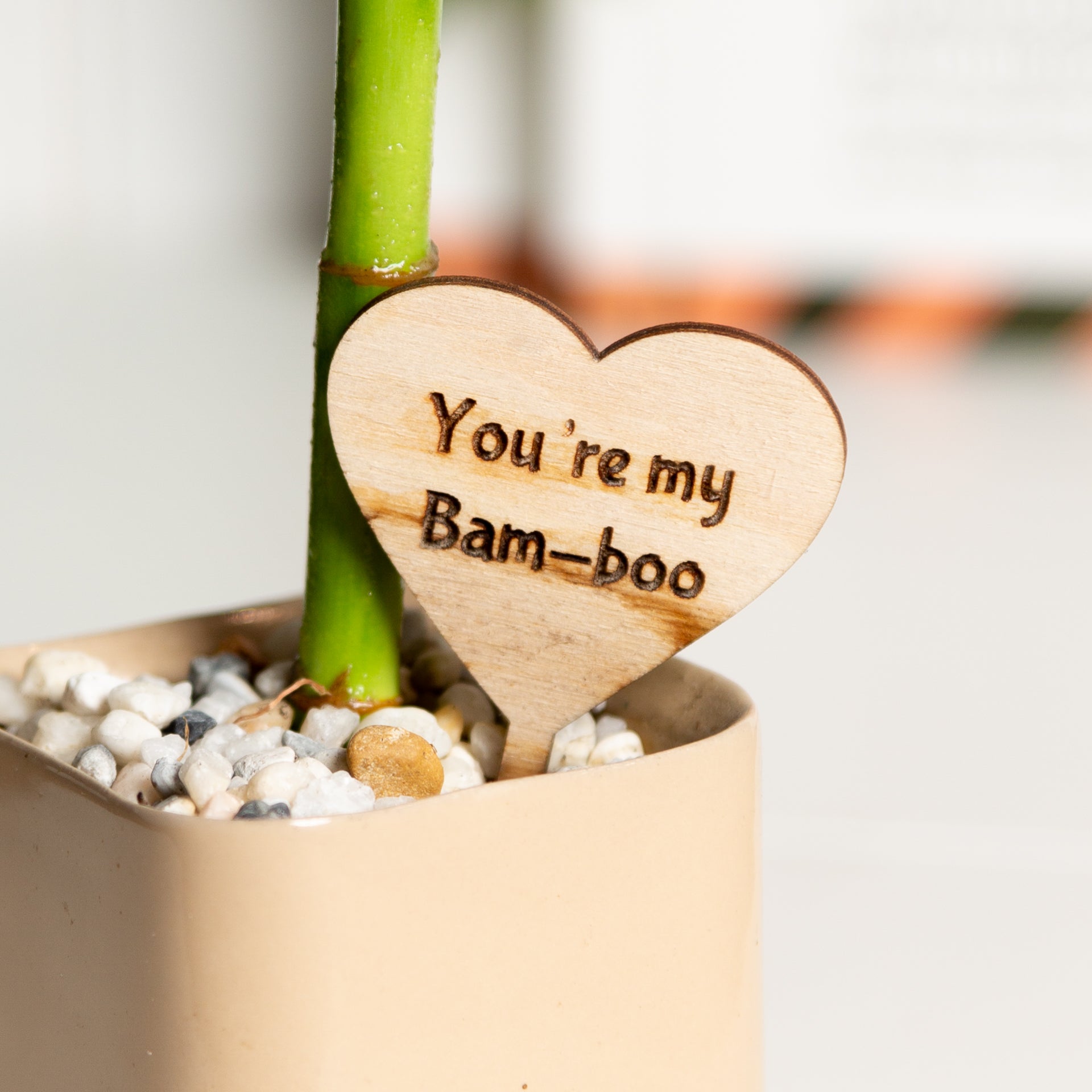 Mini Sign - You're My Bam-boo - Urban Sprouts