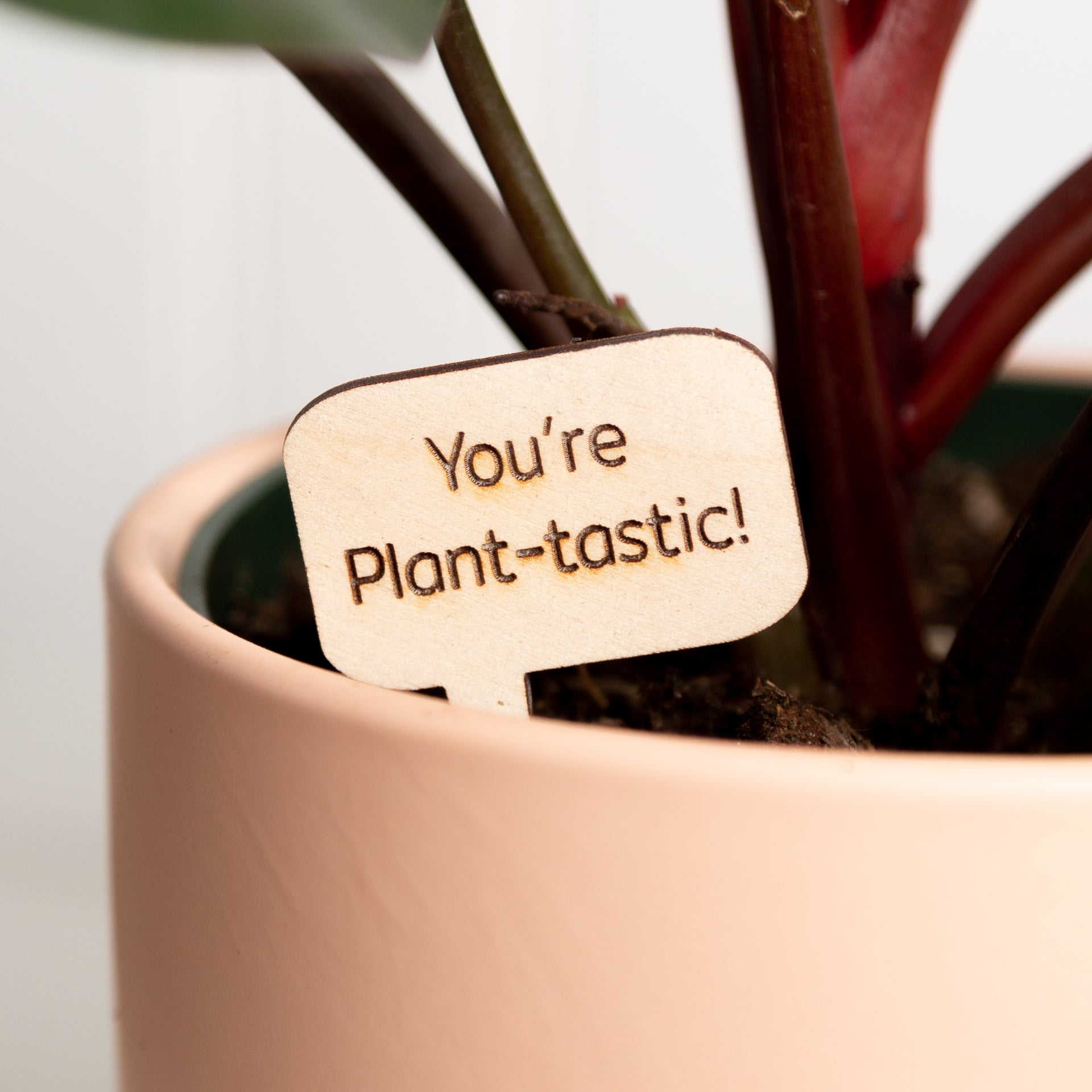 Mini Sign - You're plant-tastic - Urban Sprouts