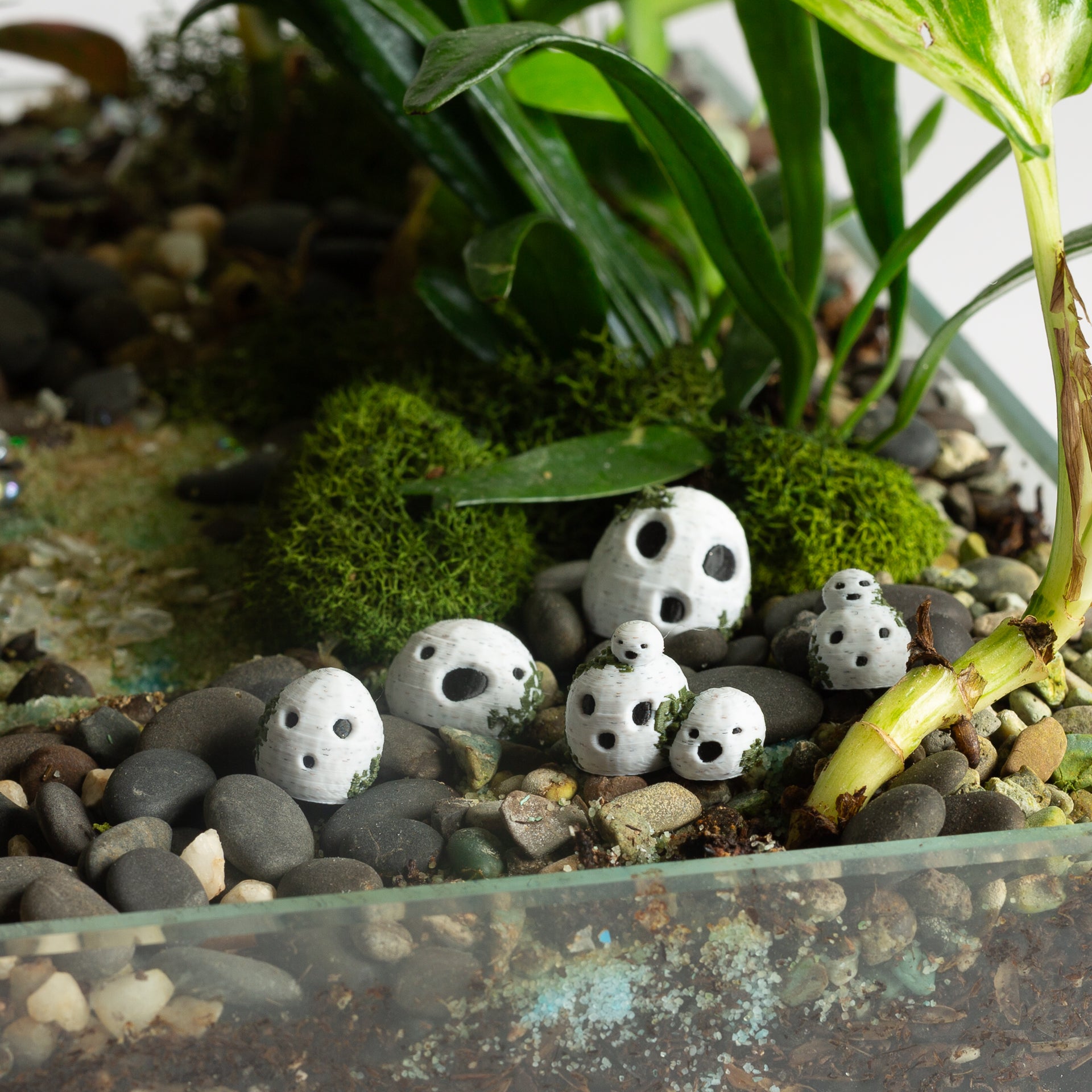 Mini Stone Sprites - Urban Sprouts