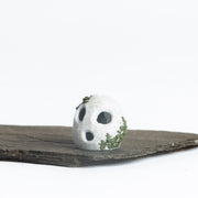 Mini Stone Sprites - Urban Sprouts
