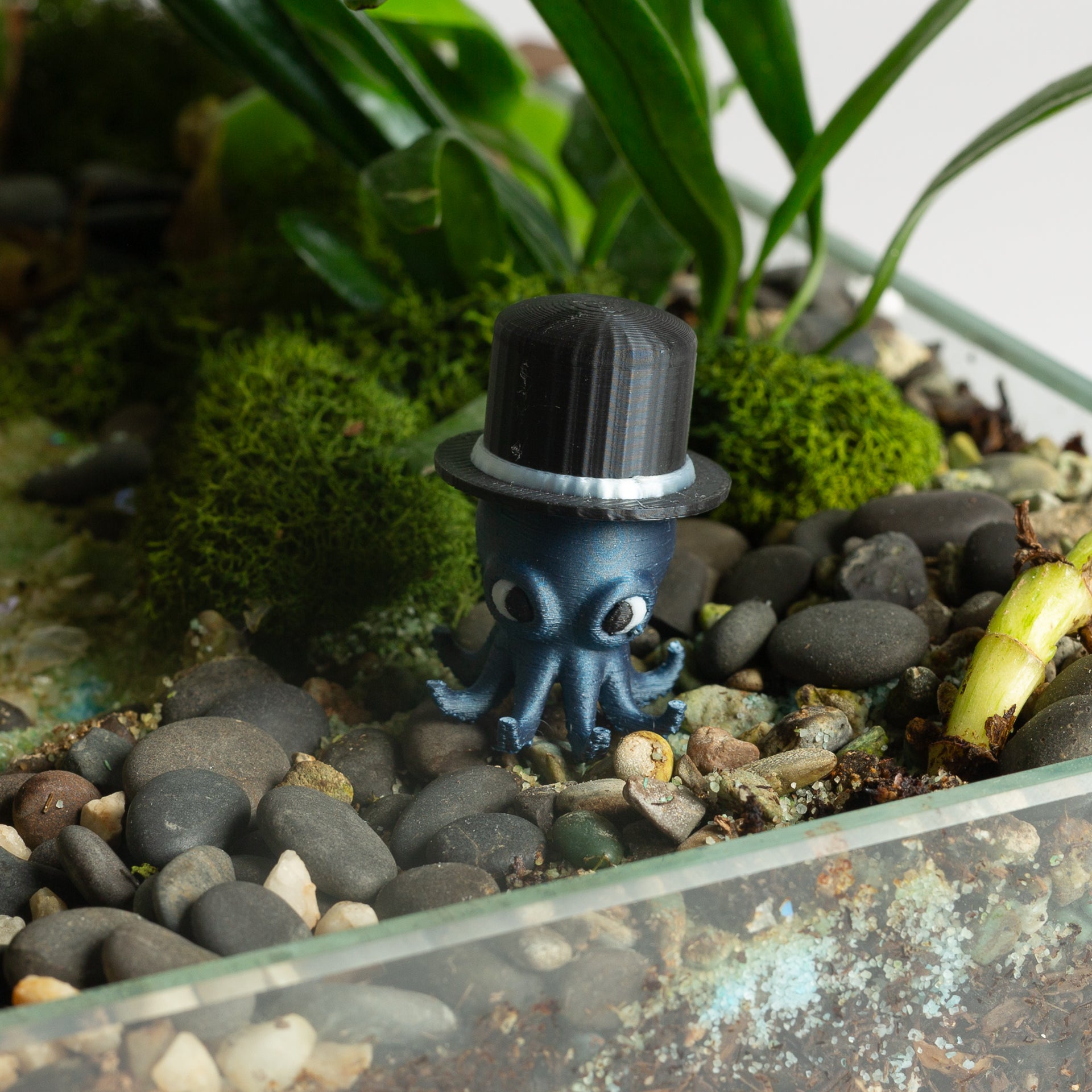 Mini Top Hat - Urban Sprouts