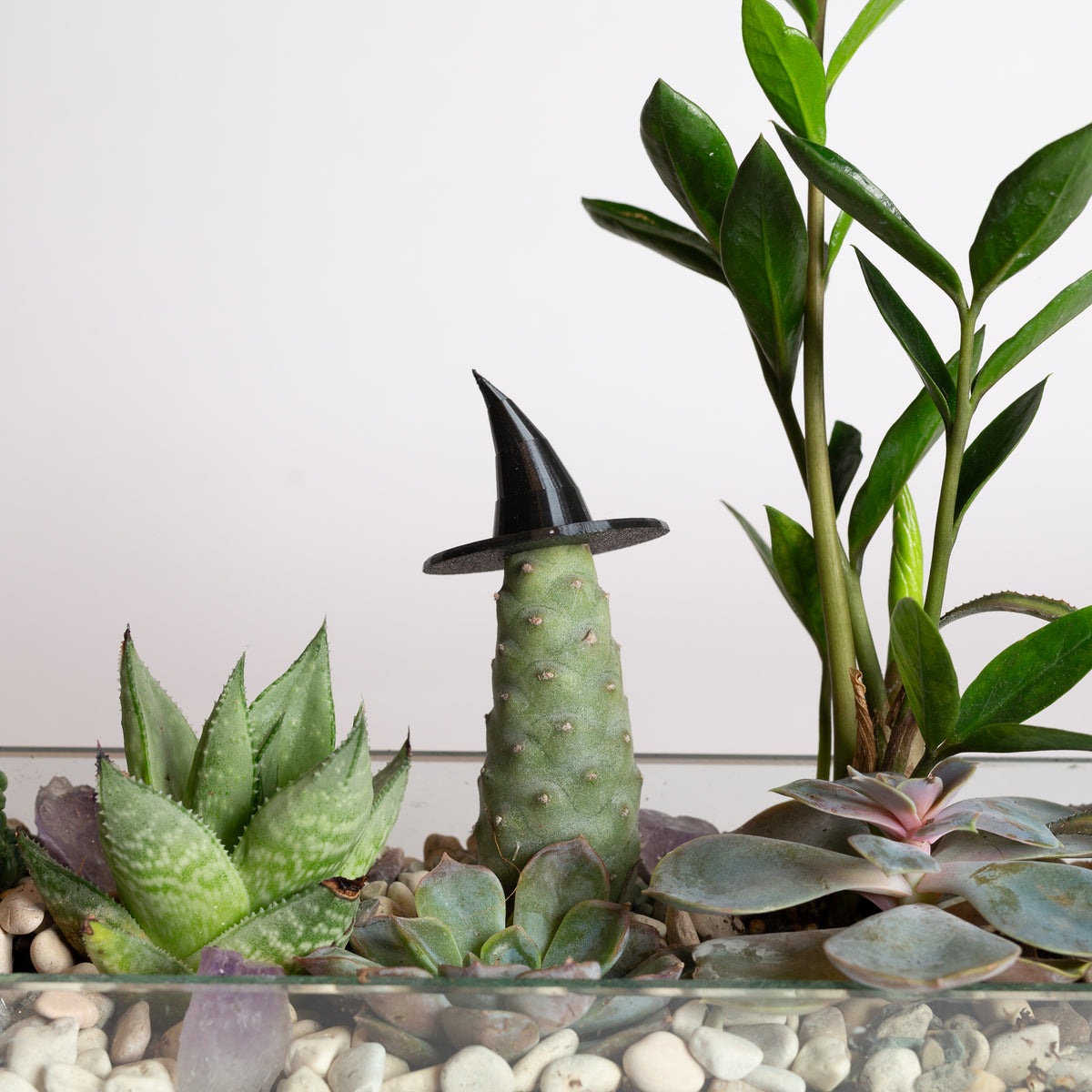 Mini Witch Hat