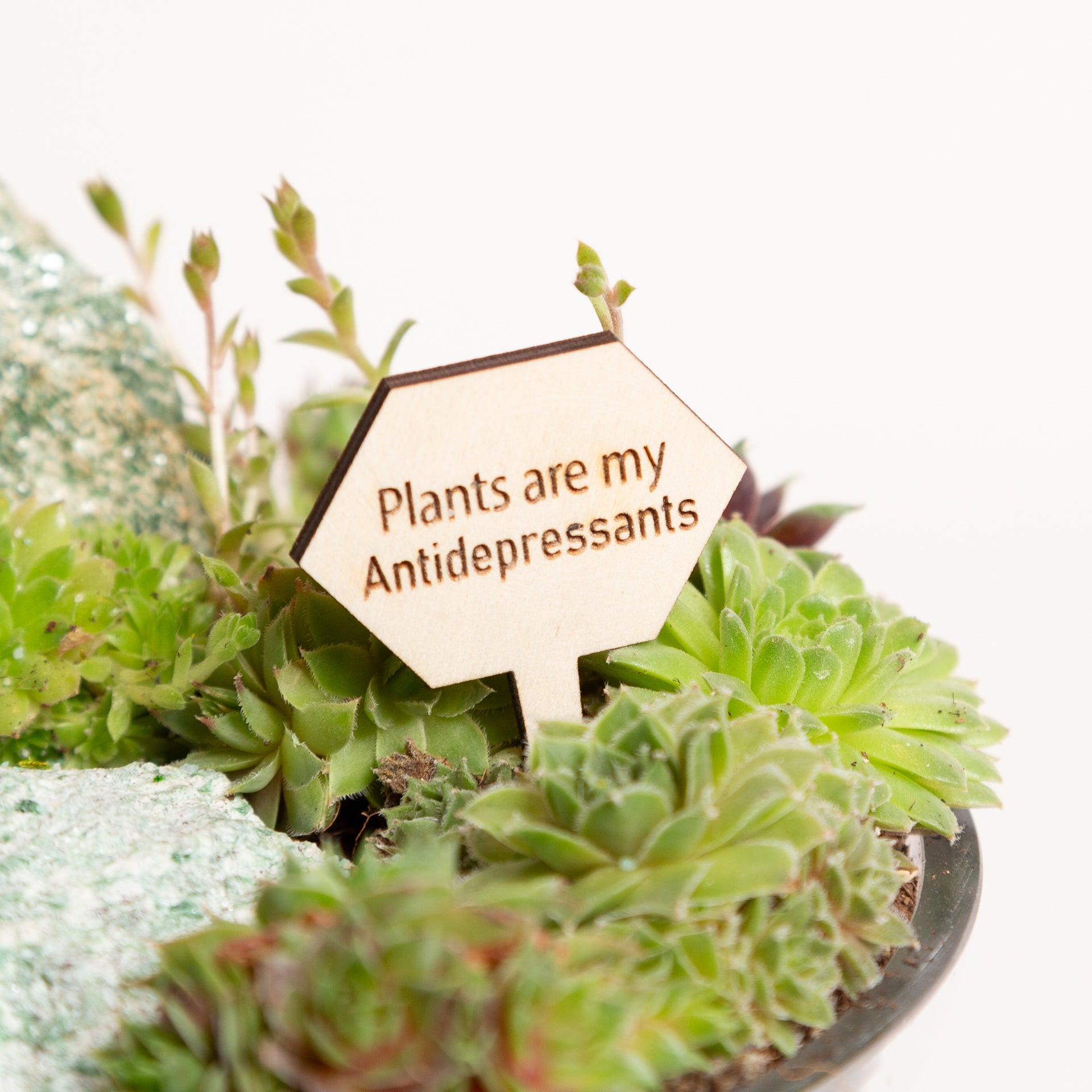 Mini Wood Sign - Plants are my antidepressants - Urban Sprouts