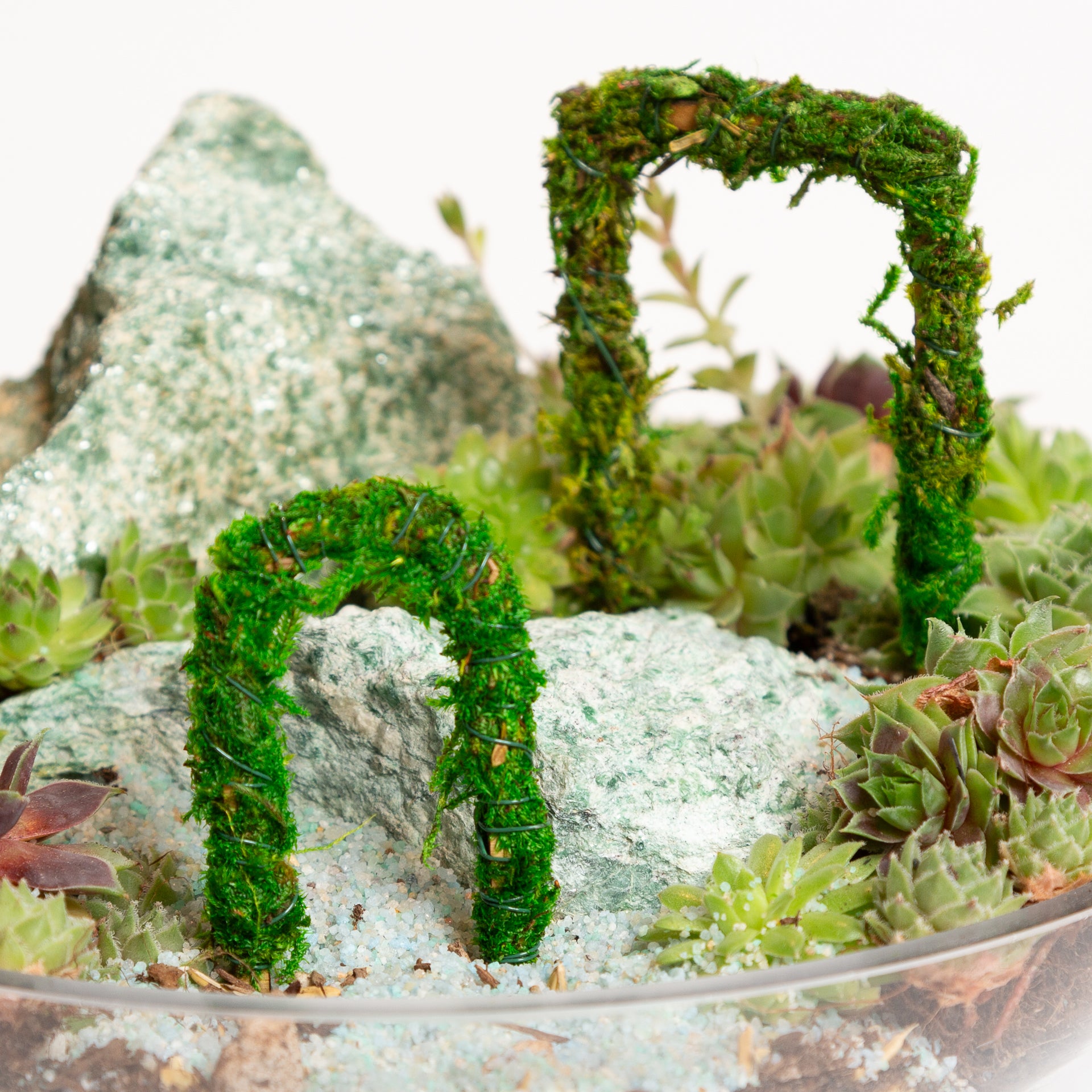 Moss Arch Square - Urban Sprouts