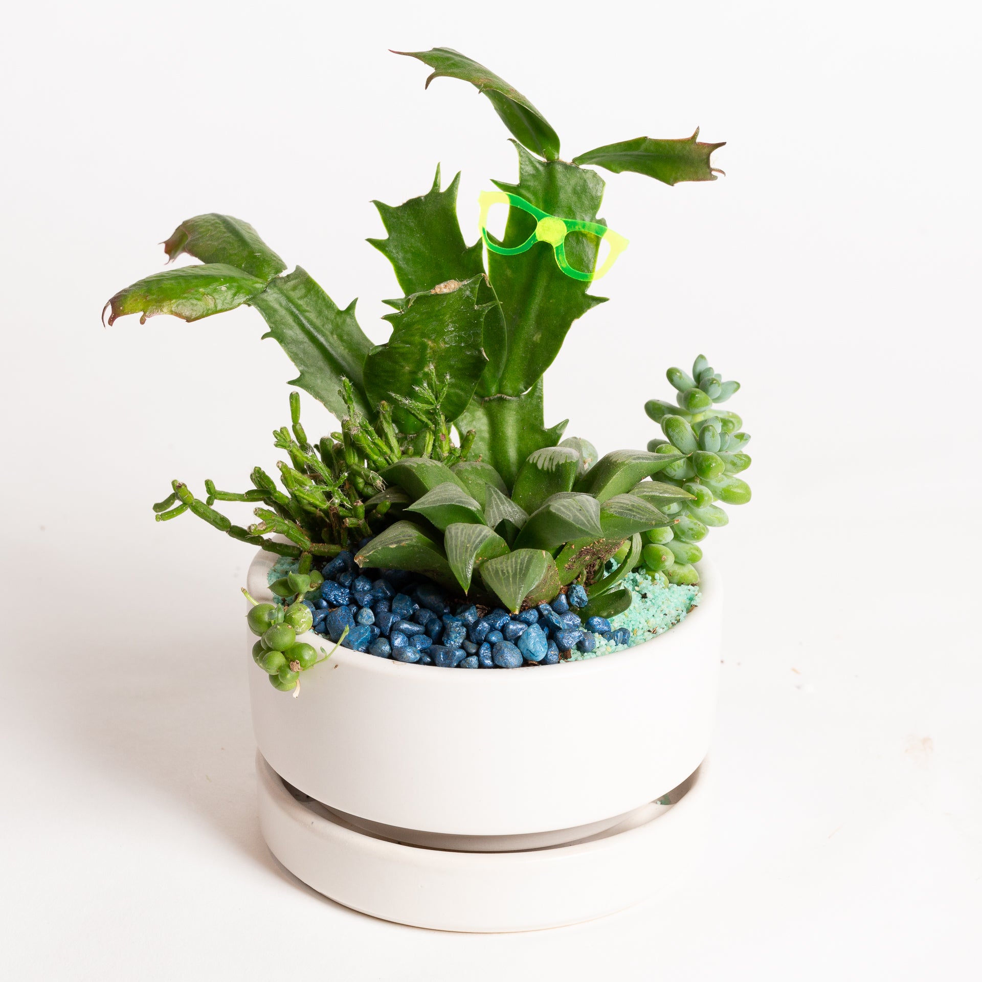 Activity Bar Reservation - Urban Sprouts