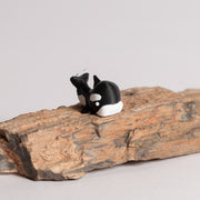 Nori the Orca