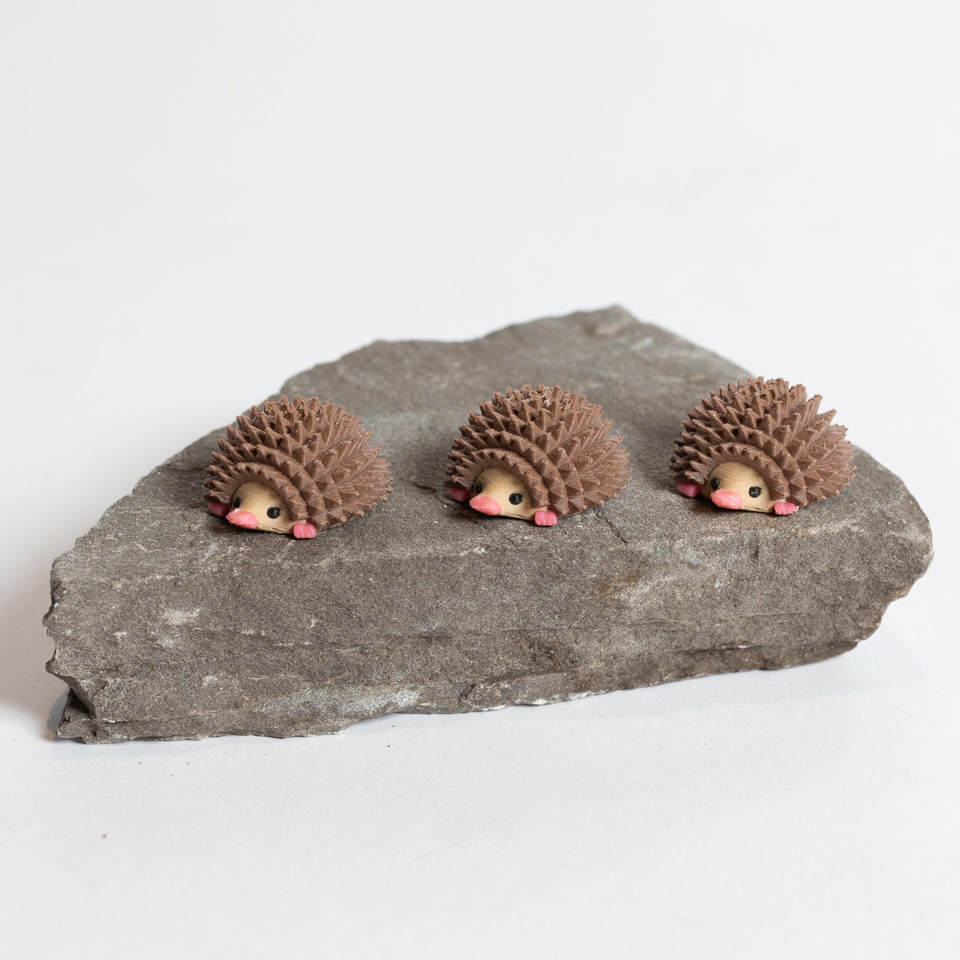 Penelope the Hedgehog - Urban Sprouts