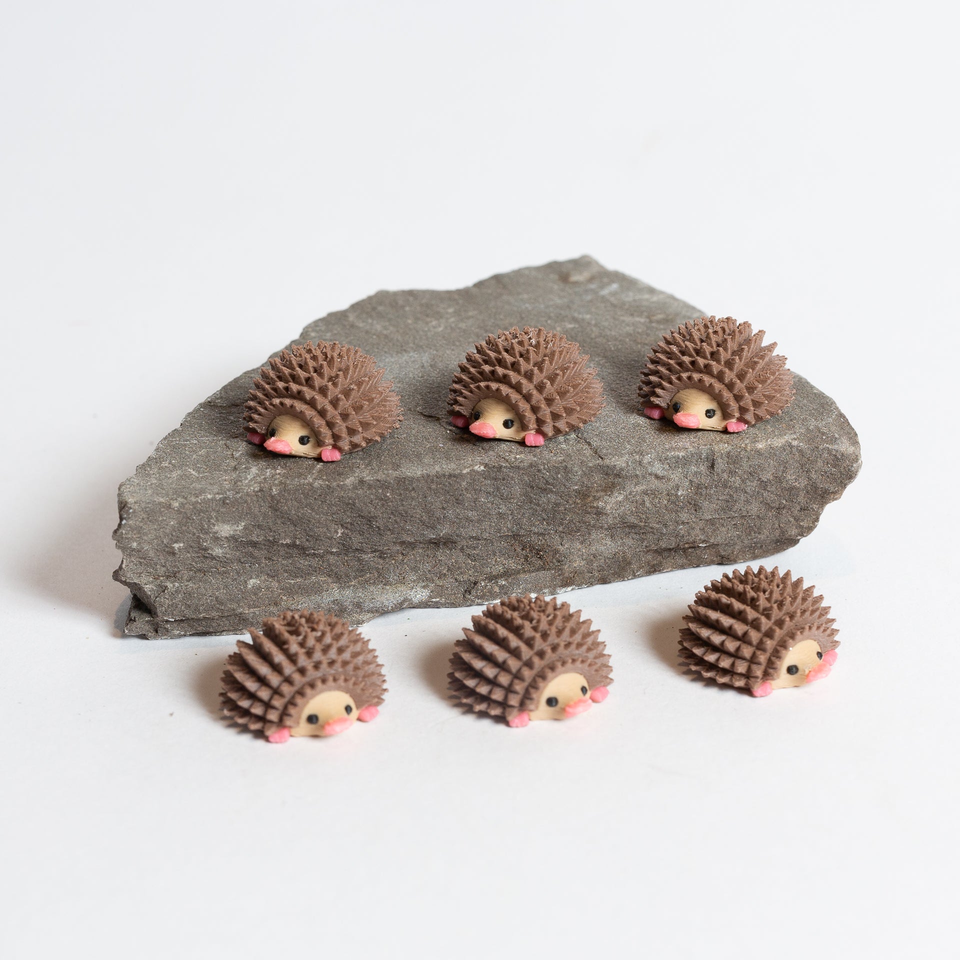 Penelope the Hedgehog - Urban Sprouts