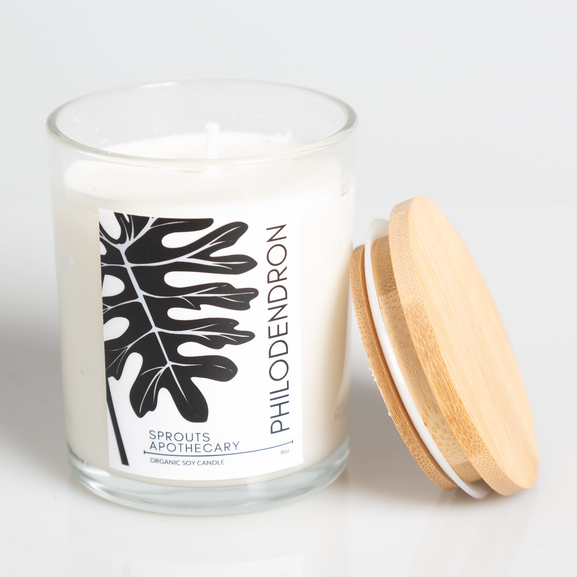 Philodendron - Sprouts Apothecary Soy Candle - Urban Sprouts