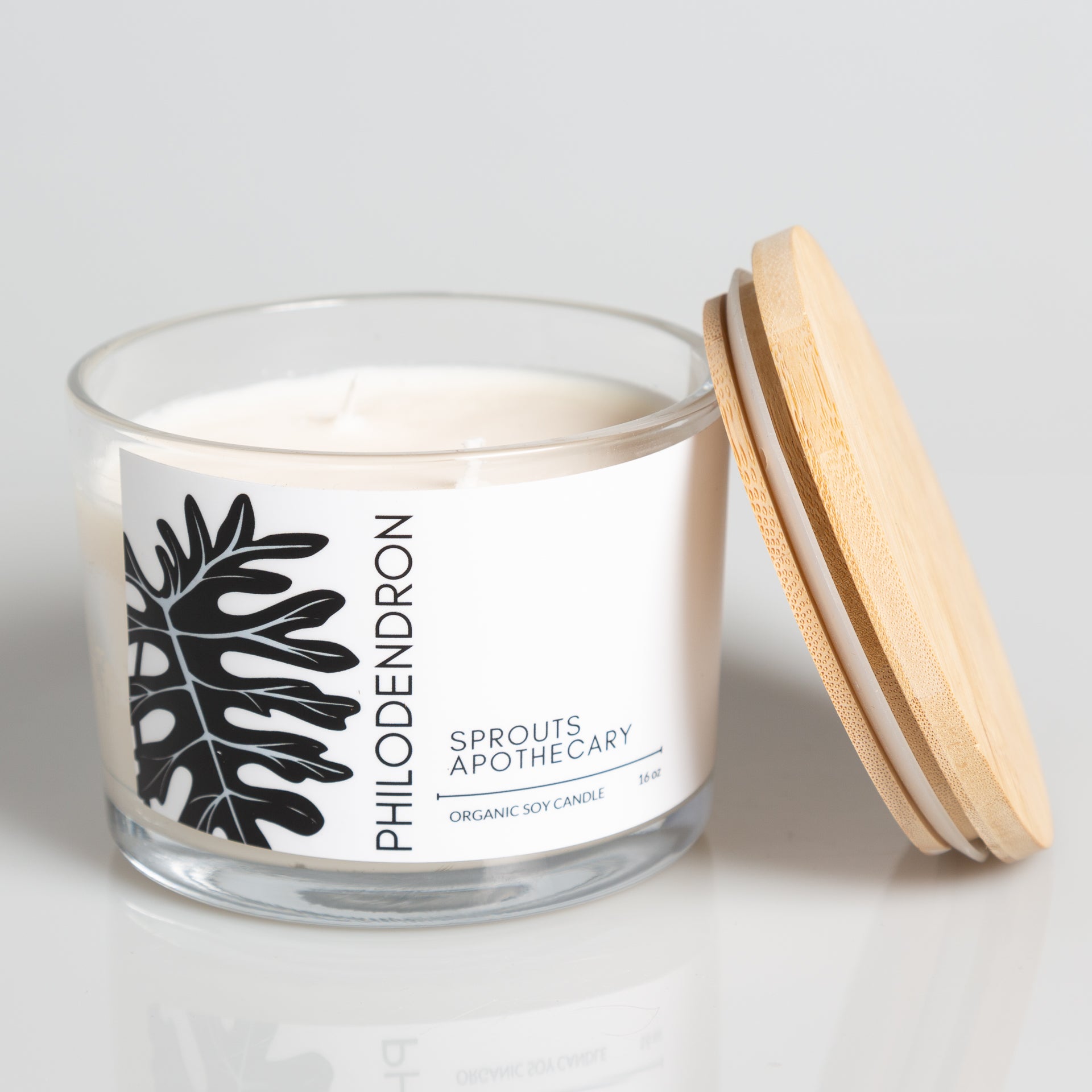 Philodendron - Sprouts Apothecary Soy Candle - Urban Sprouts