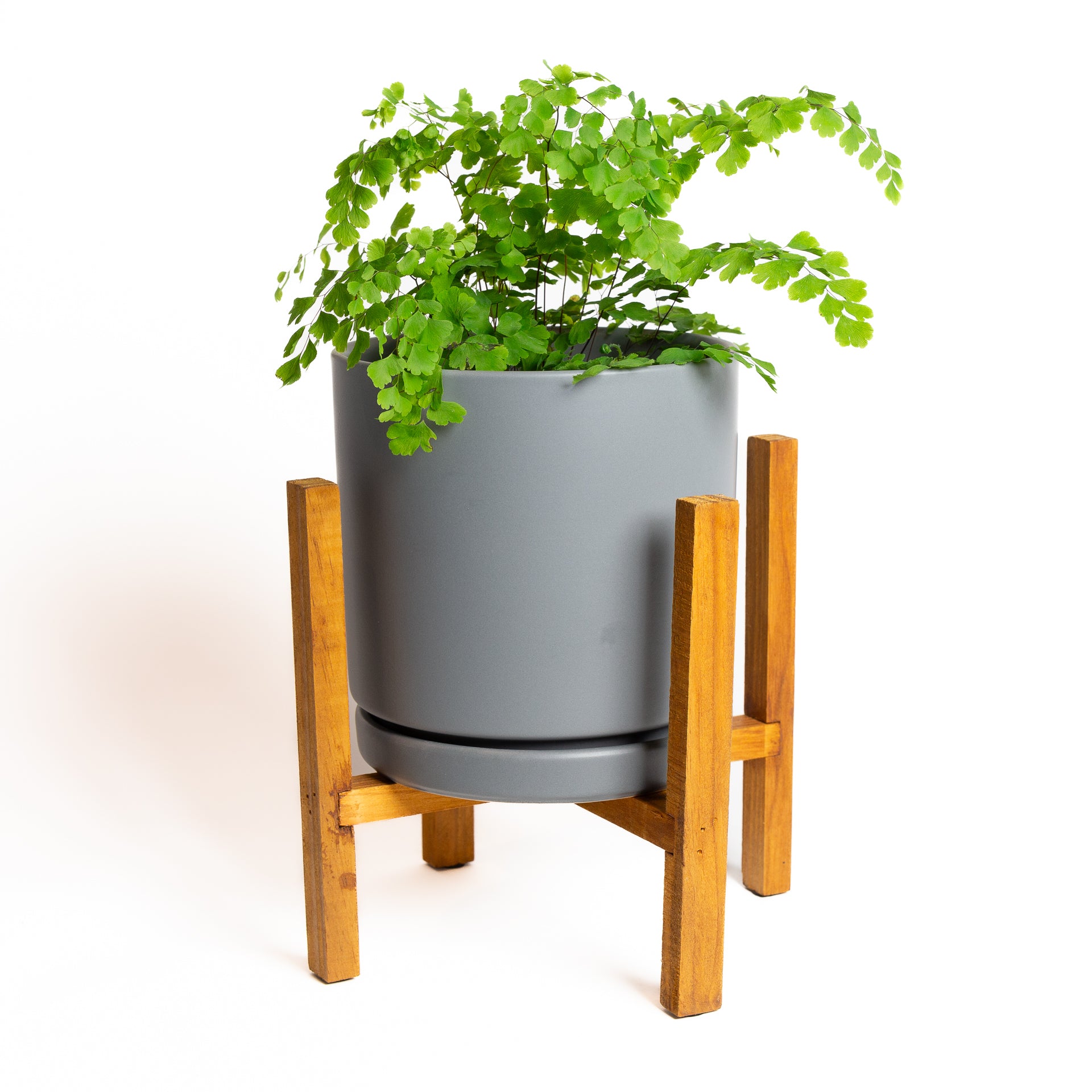 Pine Essential Plant Stand - Urban Sprouts