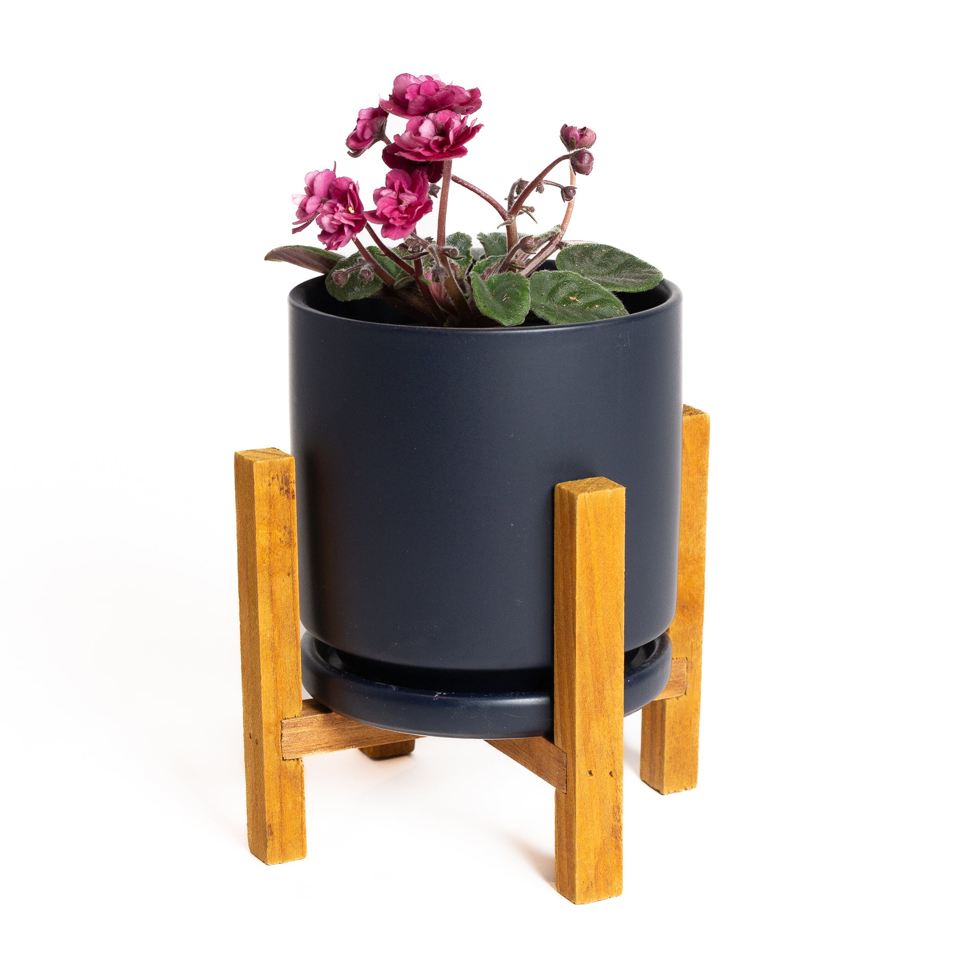 Pine Essential Plant Stand - Urban Sprouts
