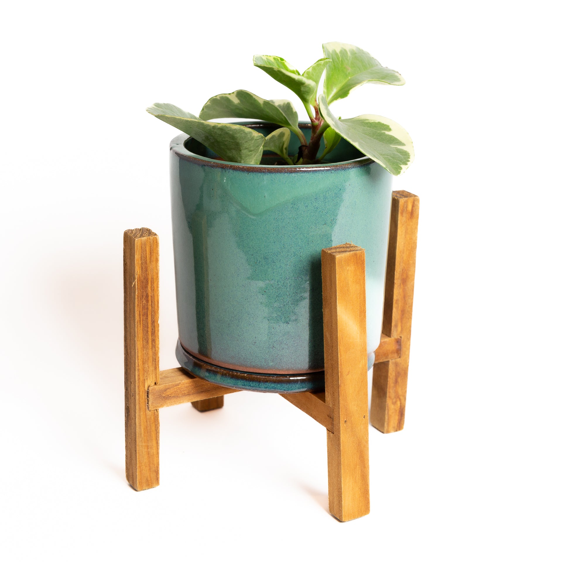 Pine Essential Plant Stand - Urban Sprouts