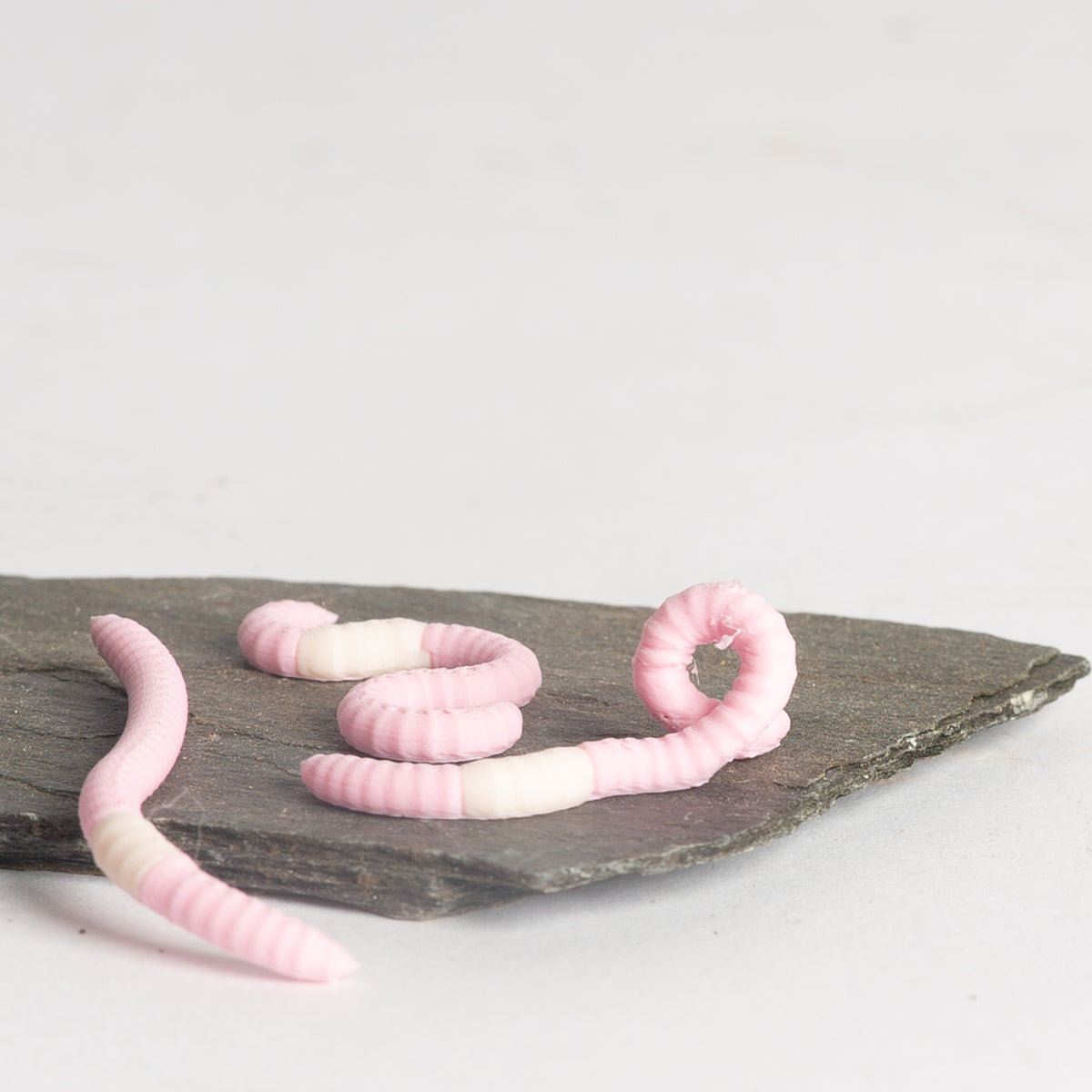 Pink Earthworm Mini Asst. - Urban Sprouts
