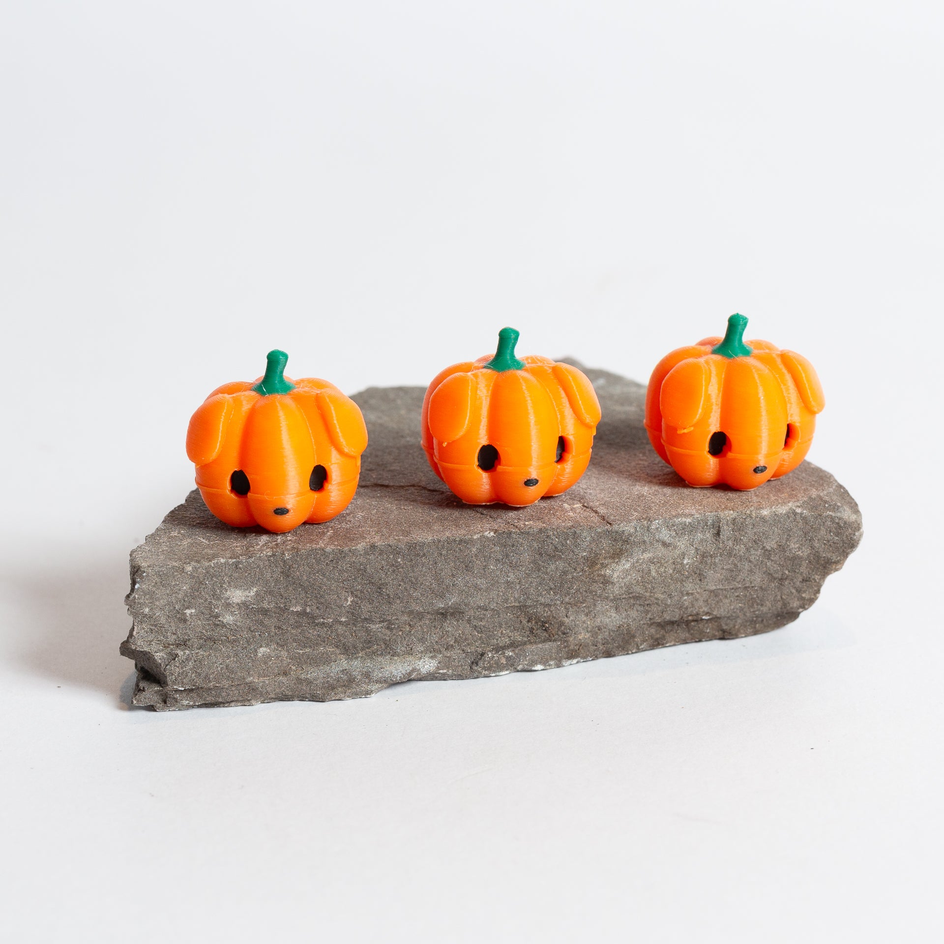 Pupkin - Puppy Pumpkin Jack O Lantern - Urban Sprouts