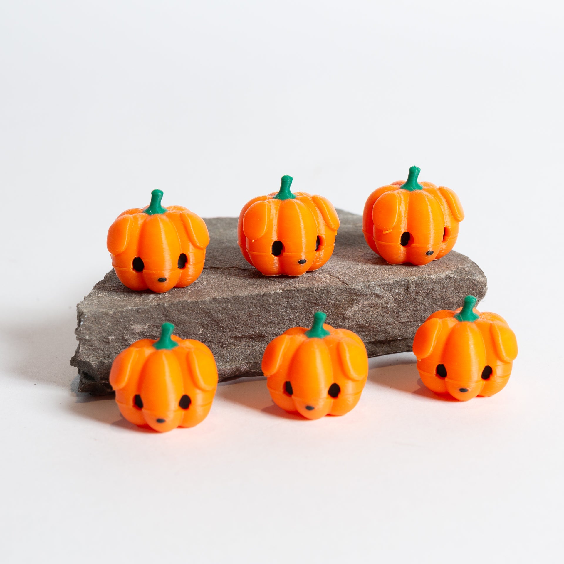 Pupkin - Puppy Pumpkin Jack O Lantern - Urban Sprouts