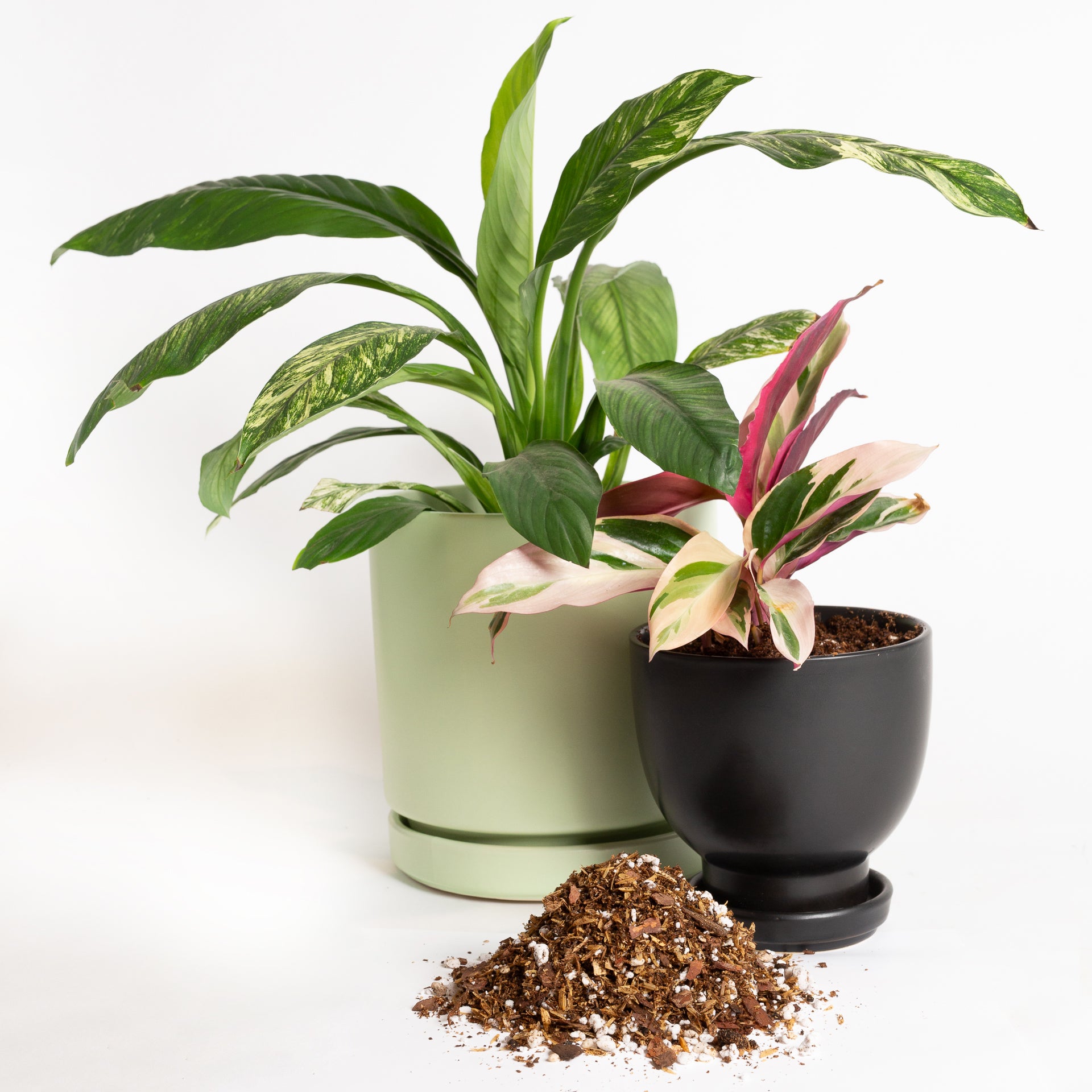 Recovery Blend - Specialty Soil - Urban Sprouts