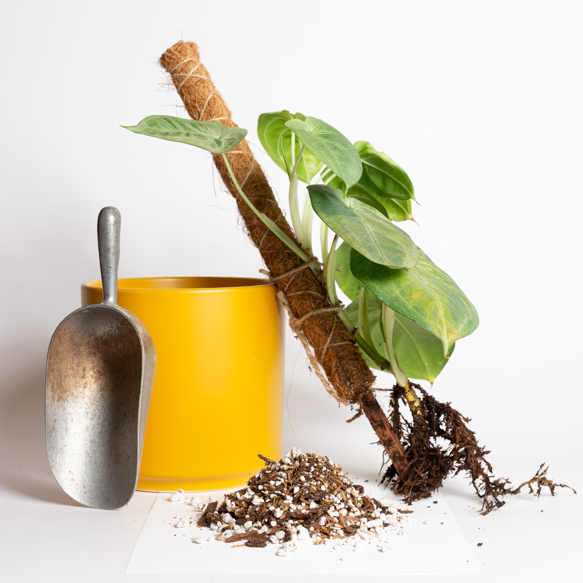 Recovery Blend - Specialty Soil