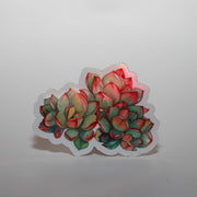 Reflective Succulent Sticker