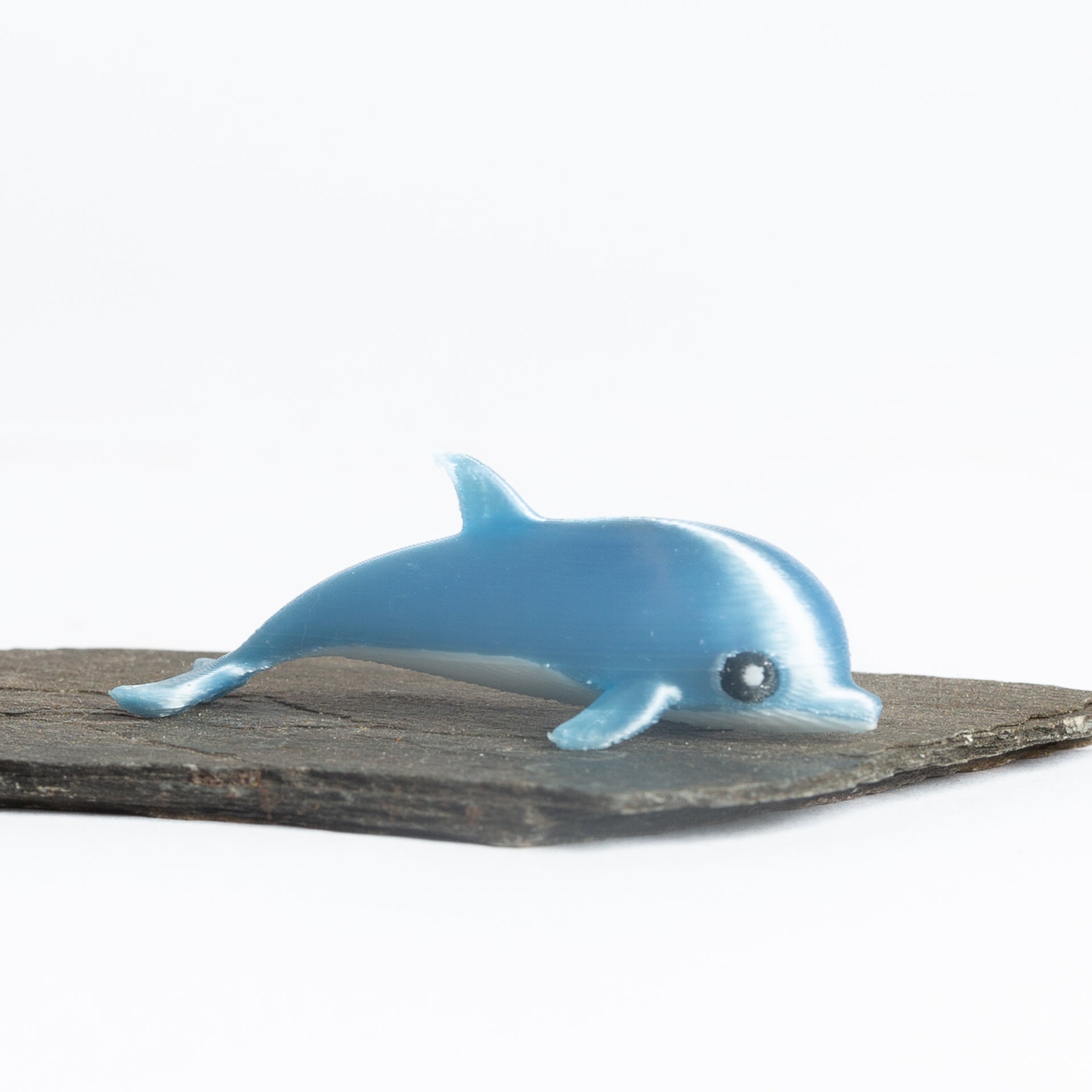 Sandy the Dolphin - Urban Sprouts