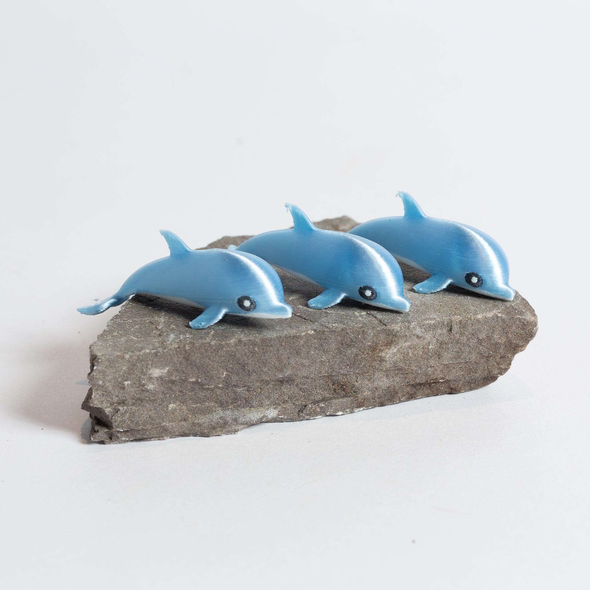 Sandy the Dolphin - Urban Sprouts