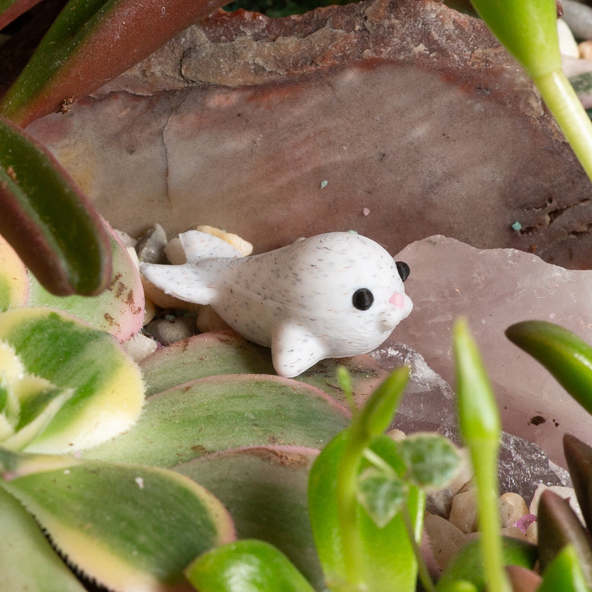 Urban prints "Sebastian the Seal" - Urban Sprouts