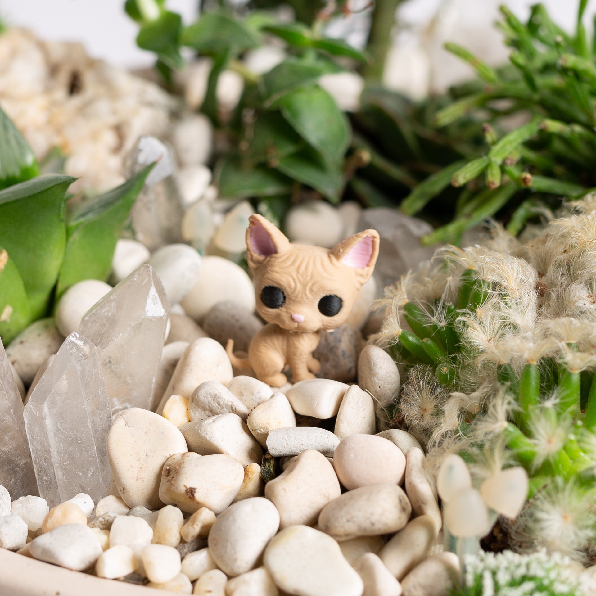 Sera the Sphinx Cat - Urban Sprouts