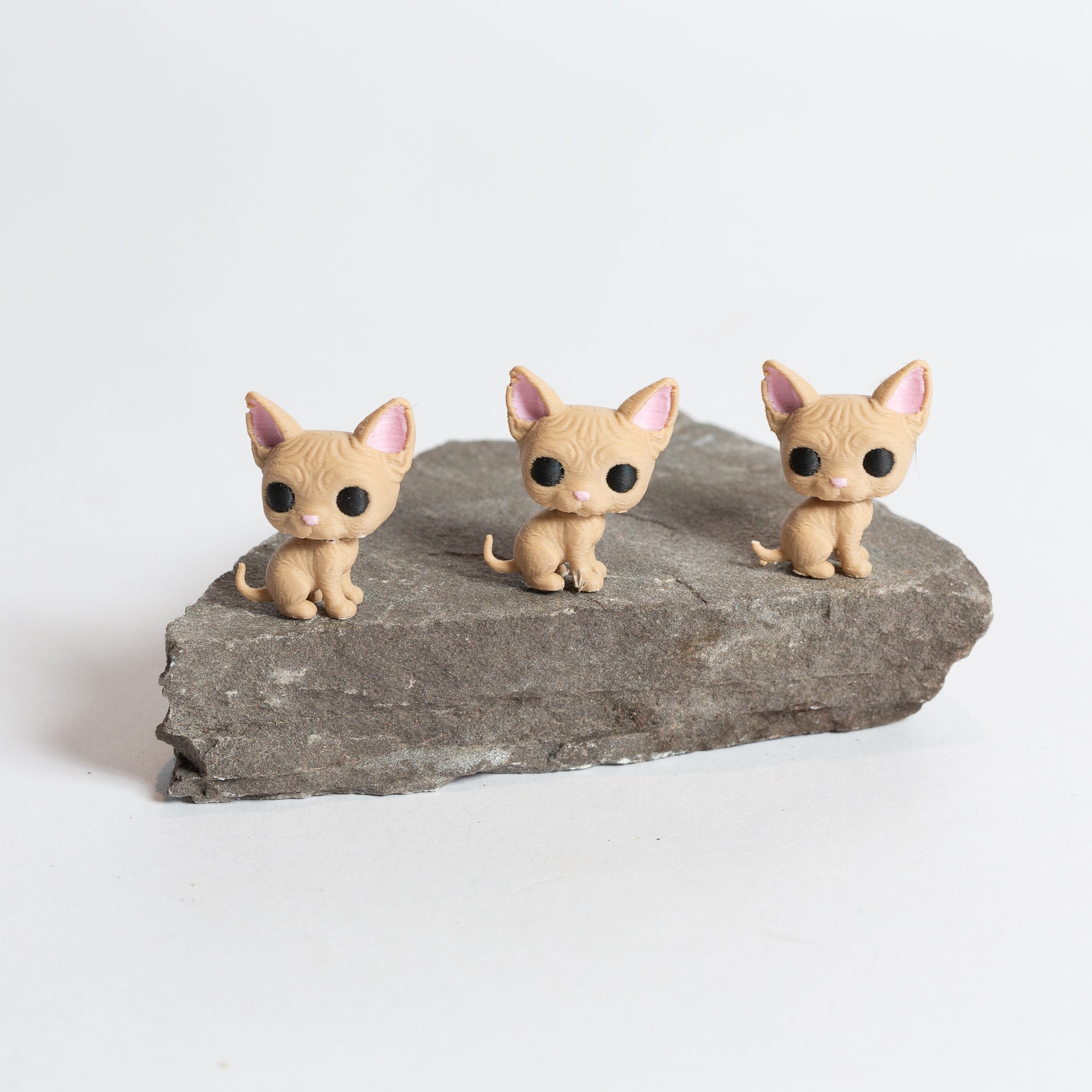Sera the Sphinx Cat - Urban Sprouts