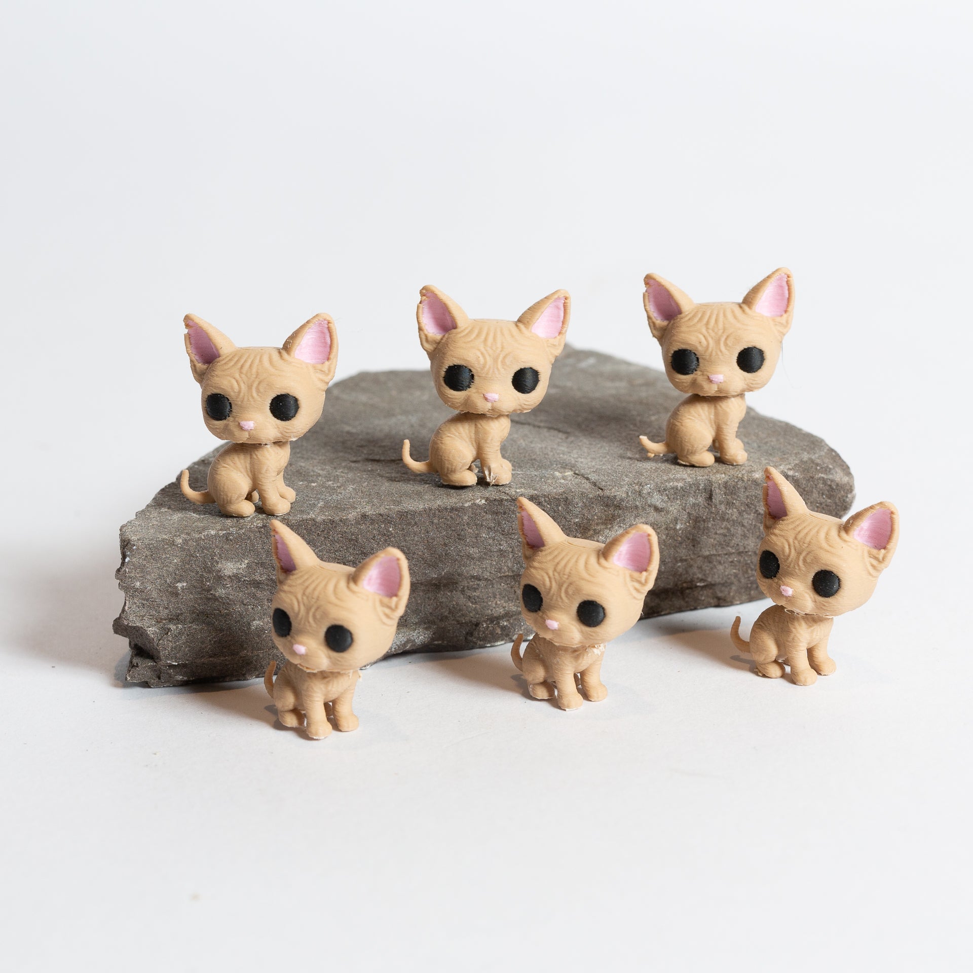 Sera the Sphinx Cat - Urban Sprouts