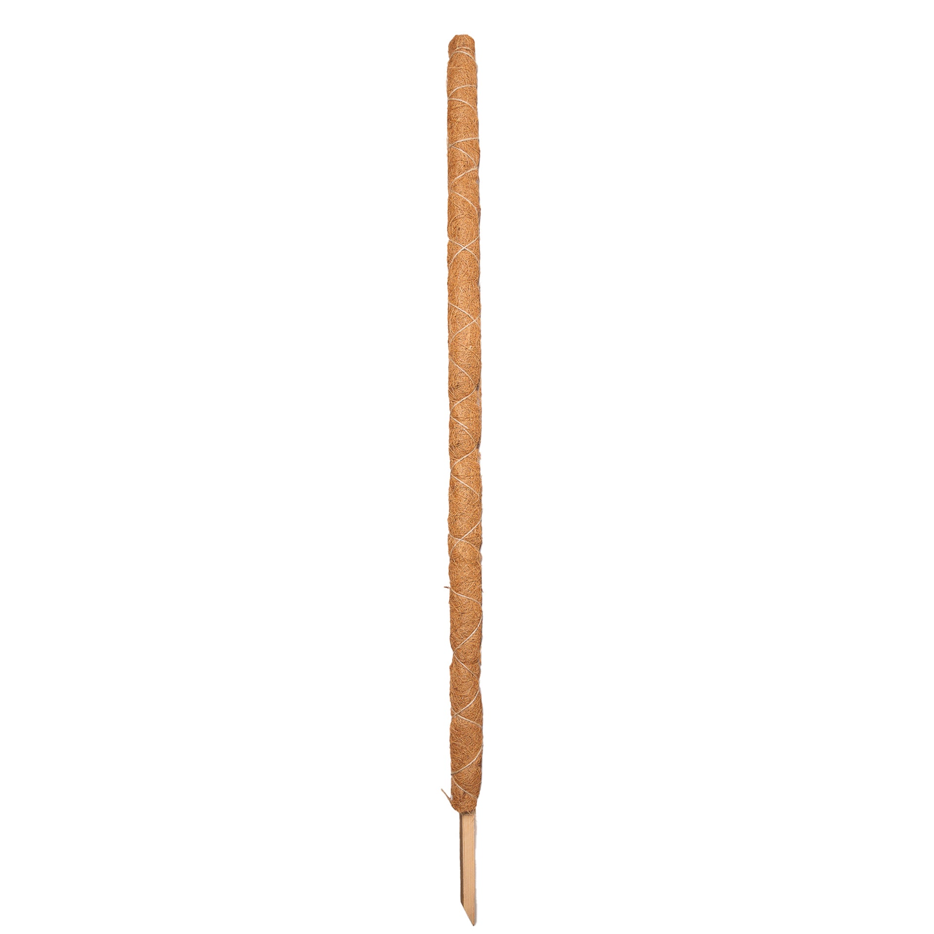 4ft moss pole Triple Layer Moss Pole 24"