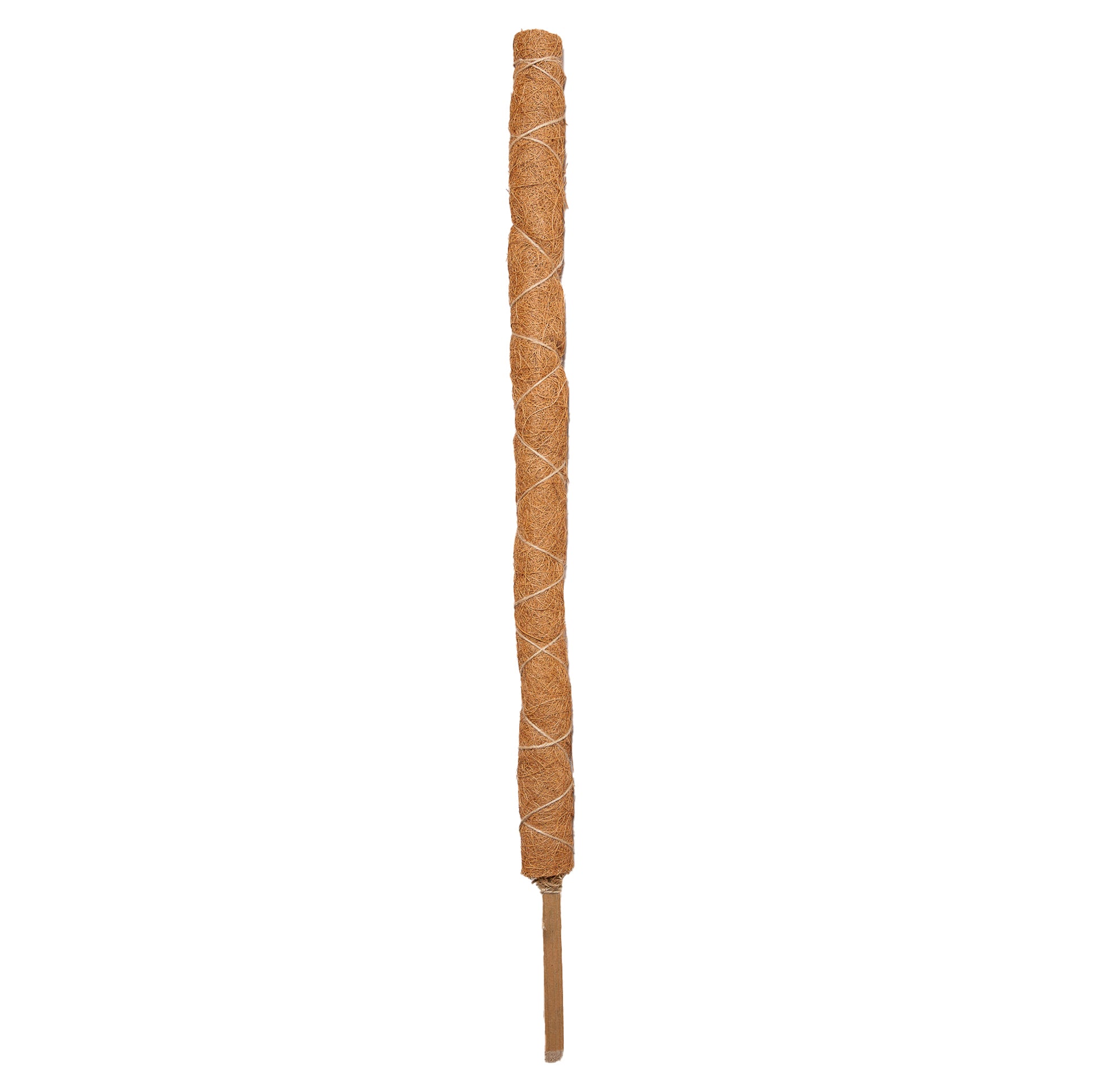 menards moss pole Triple Layer Moss Pole 24"