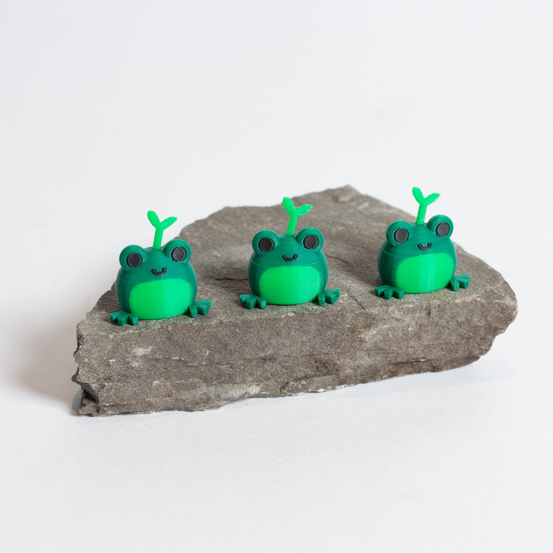 Sprig the Frog - Urban Sprouts