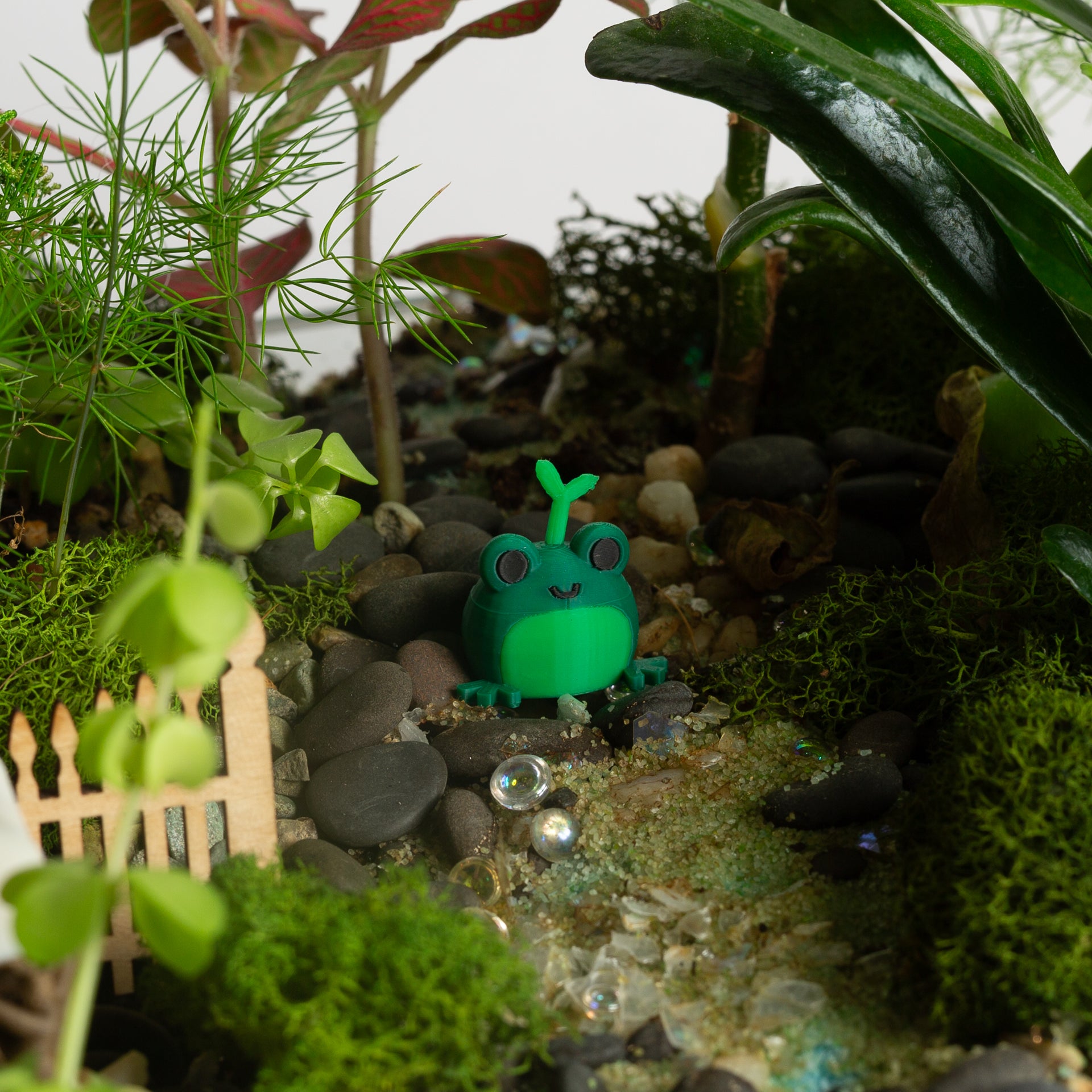 Sprig the Frog - Urban Sprouts