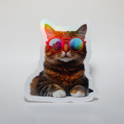 Sunglass Cat Sticker