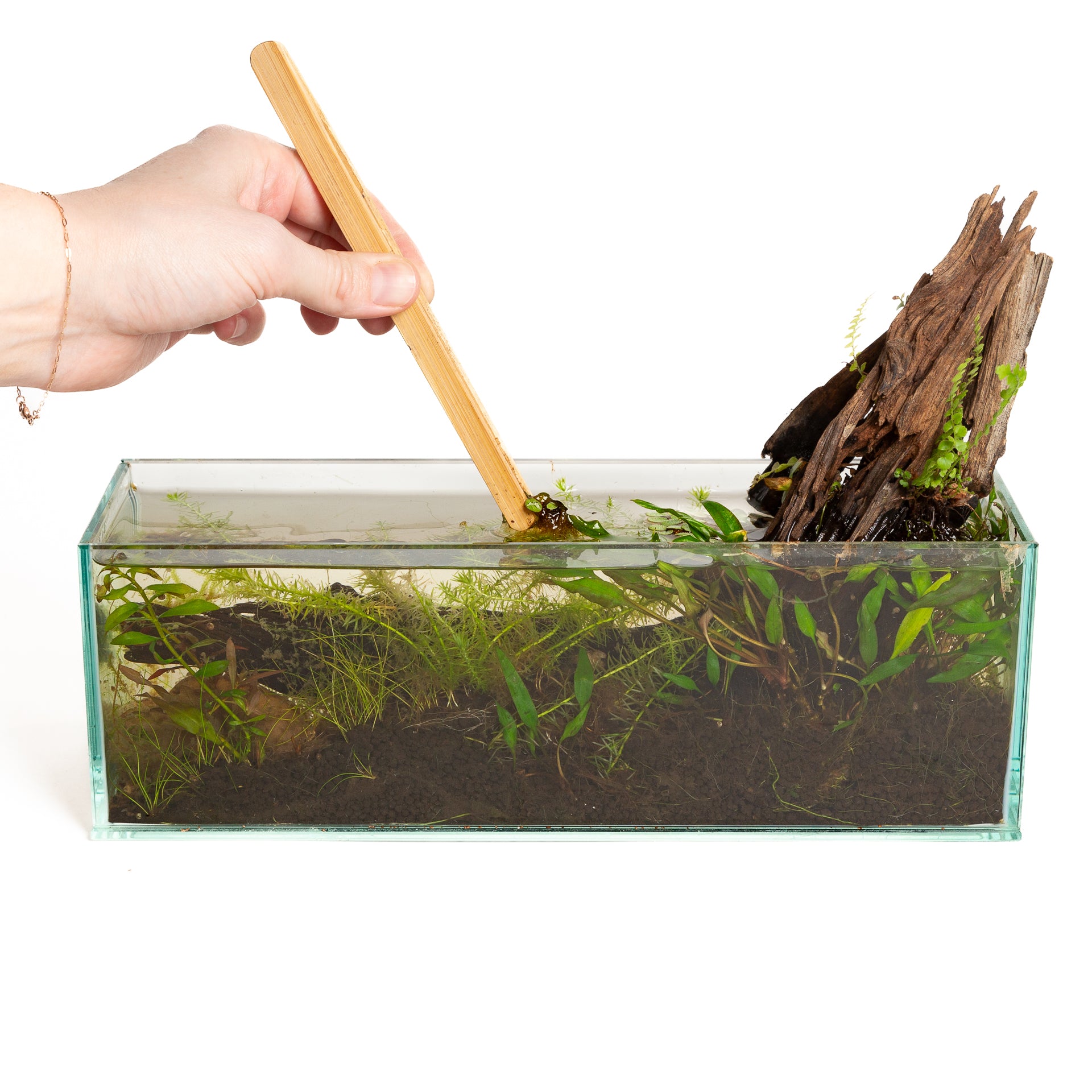 8/15 @ 6:00 Mini Desktop Water Gardens Workshop - Urban Sprouts