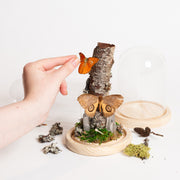 7/27 @ 2:00 Preserved Butterfly Cloches - Urban Sprouts