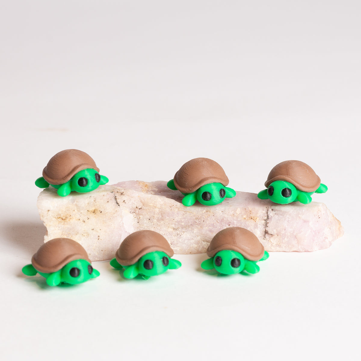 Tabetha the Turtle