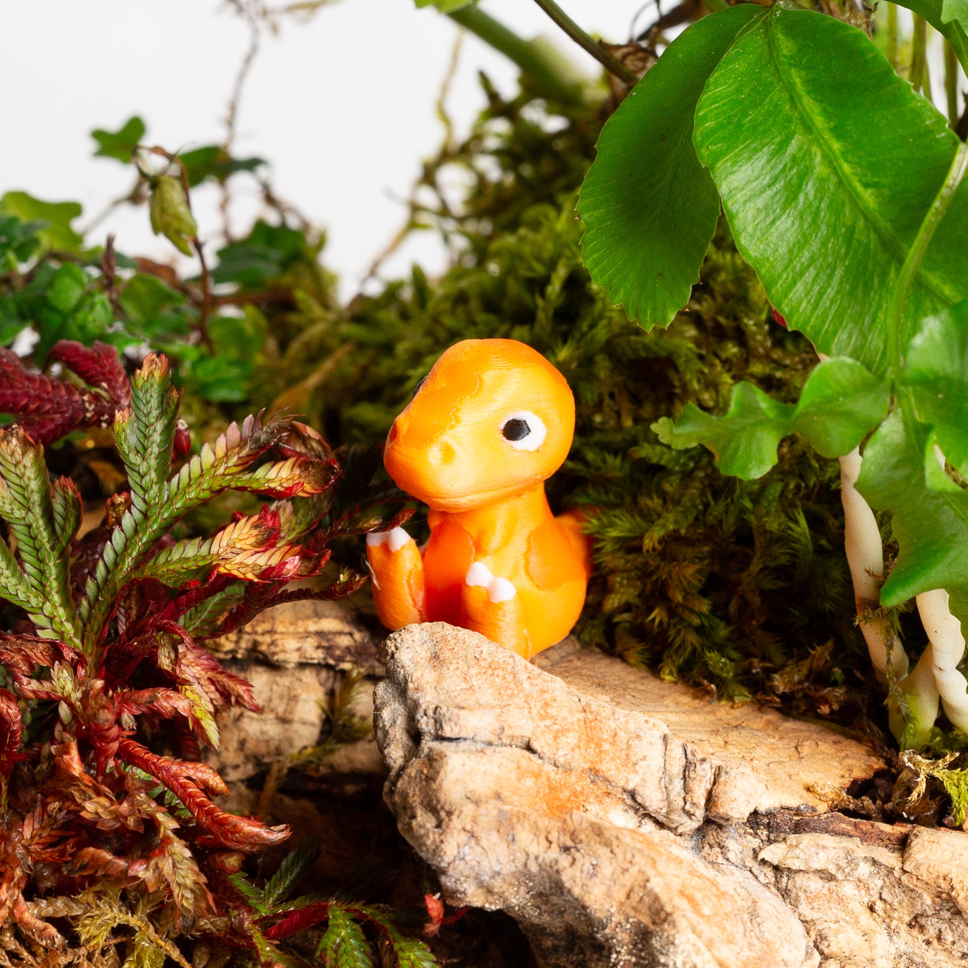 Tangerine Dino - Urban Sprouts