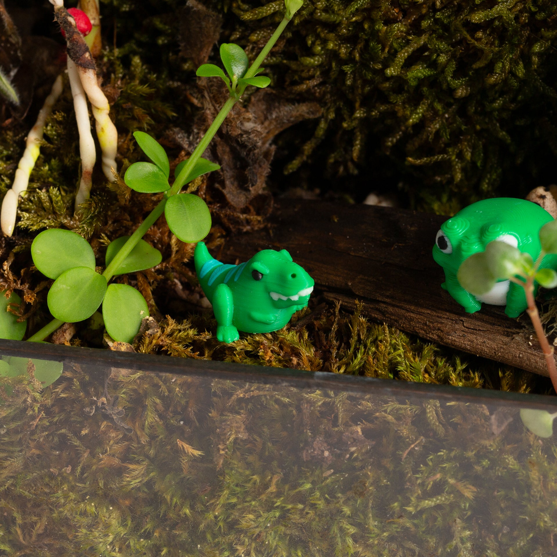 Teeny the T-Rex - Urban Sprouts