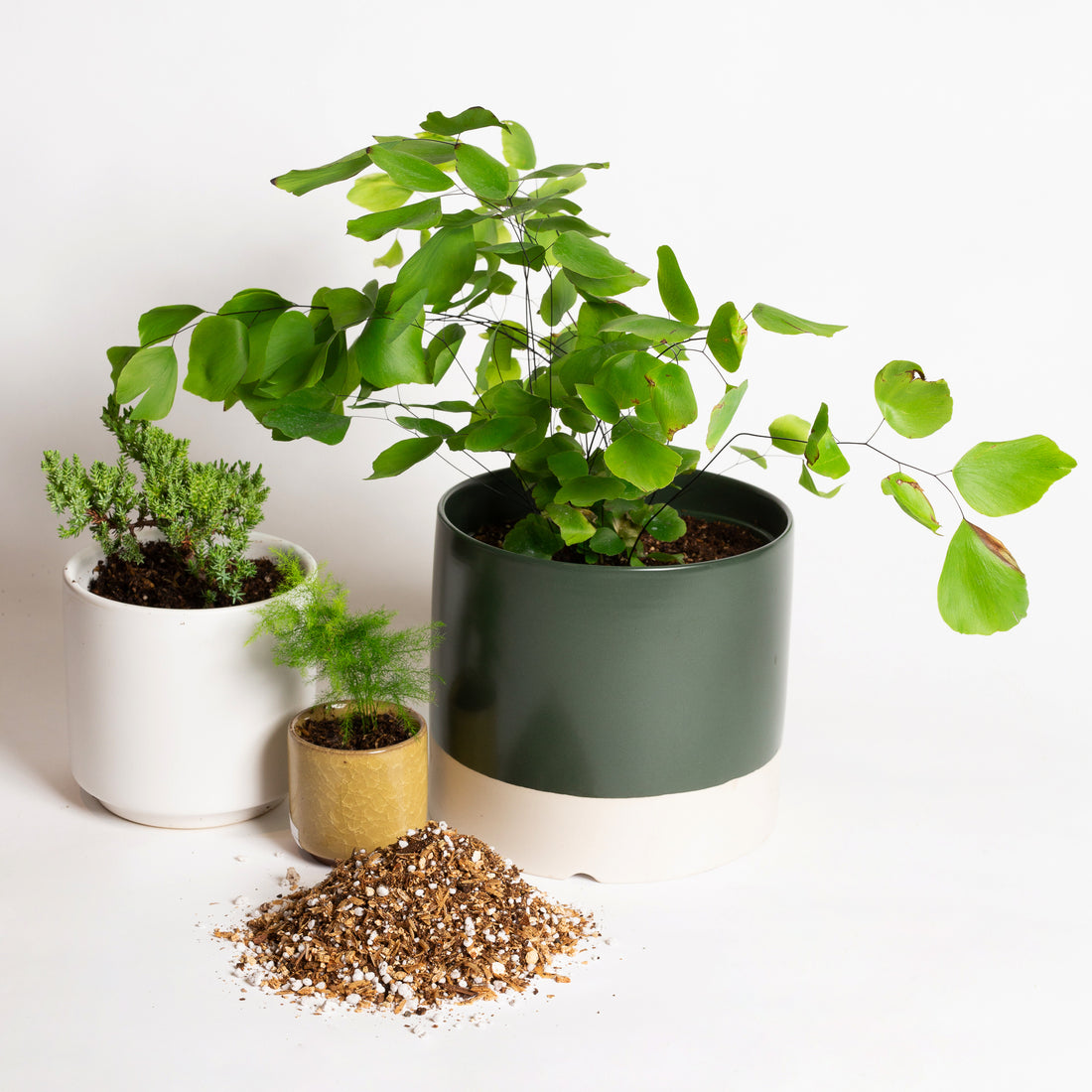 Temperate Blend - Specialty Soil - Urban Sprouts