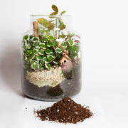 Terrarium Blend - Specialty Soil