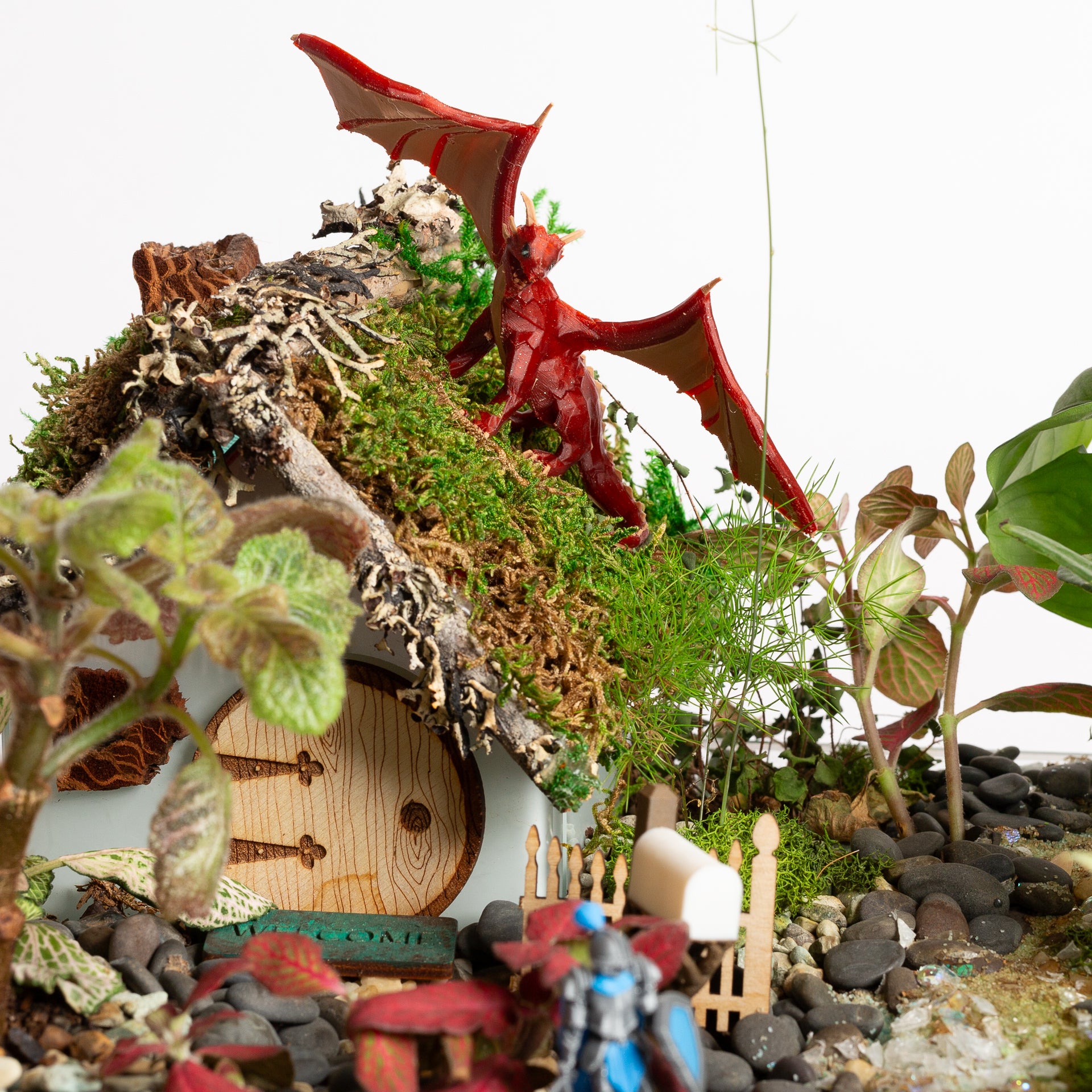 The Crimson Dragon - Urban Sprouts