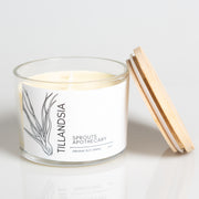 Tillandsia - Sprouts Apothecary Soy Candle - Urban Sprouts
